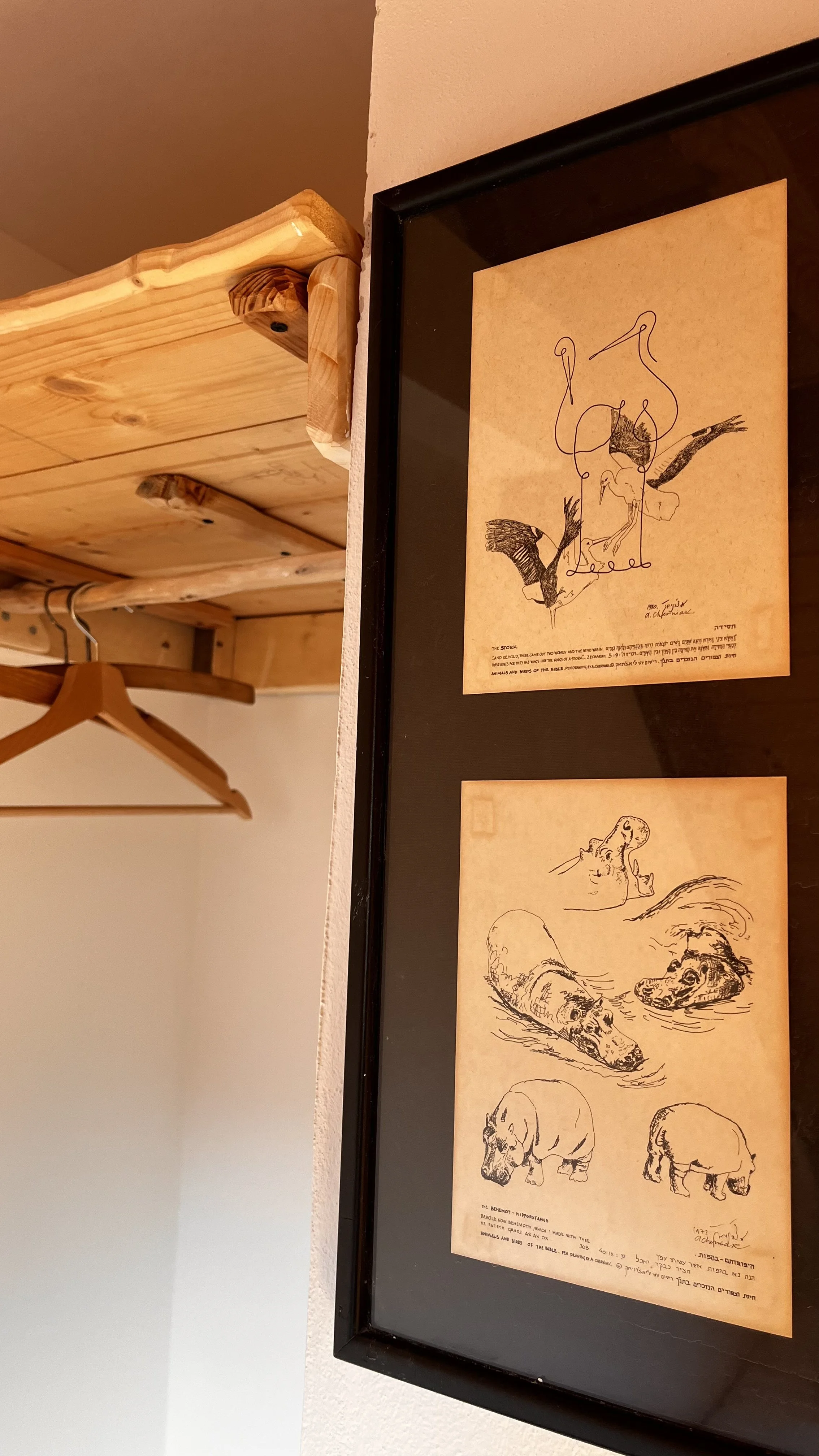 Framed sketches of animals, including birds and bears, with Hebrew and English text underneath on tan paper.