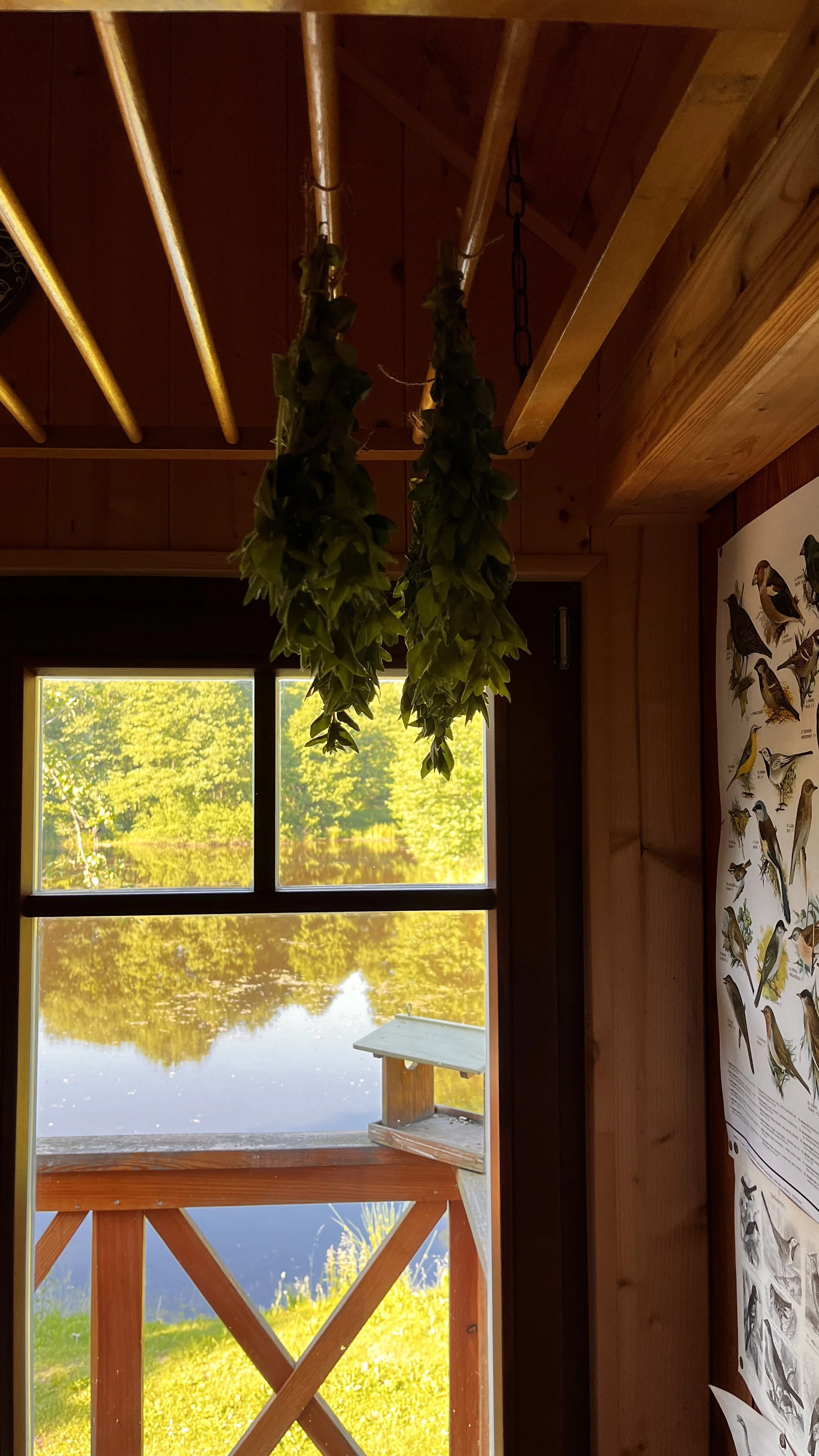Indoor scene with herbs hanging from the ceiling, view of a lake through a window, and bird identification chart on the wall.
