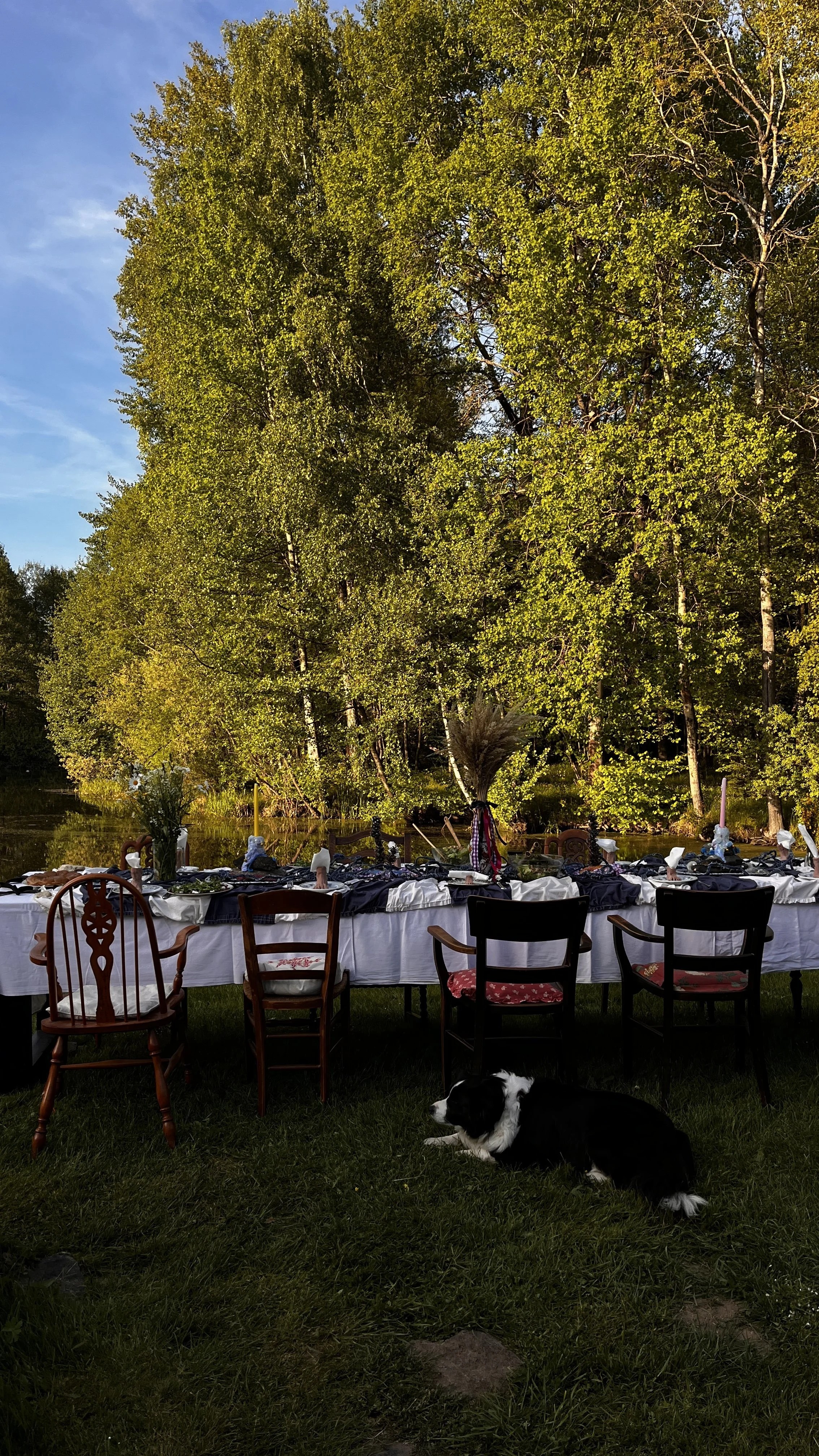 Outdoor gathering with a long table set for a meal near a lake, surrounded by lush green trees with a clear sky above in the Czech countryside. A black and white dog is lying on the grass in the foreground.