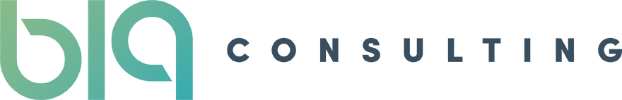 b19 Consulting