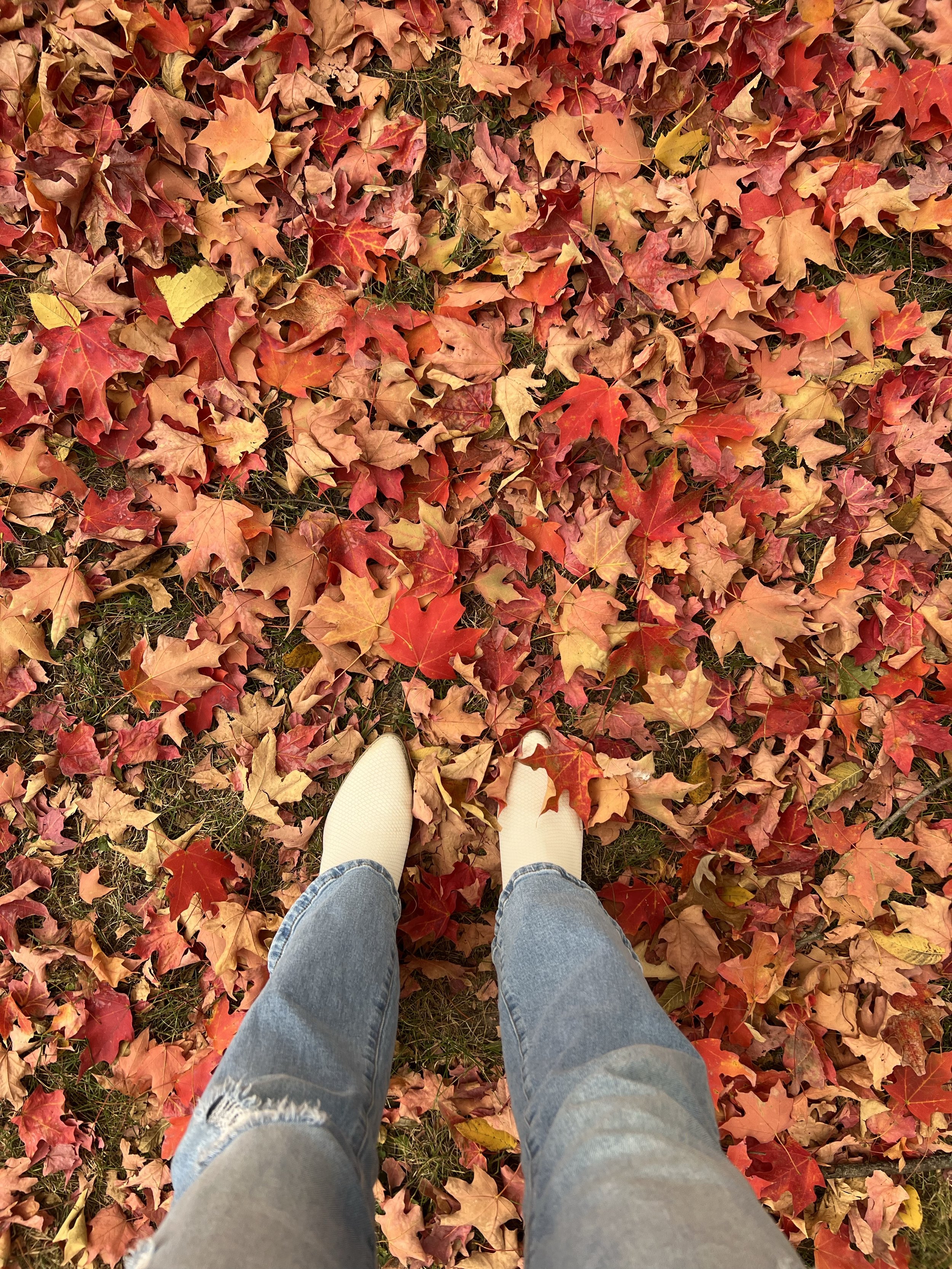 Should You Sell Your Western MA Home This Fall or Wait Until Spring?