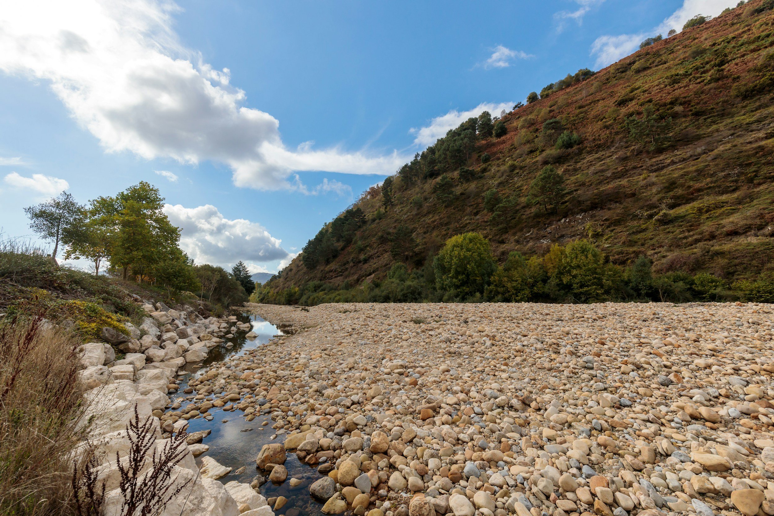 A dry riverbed with scattered pebbles and rocks, flanked by a small stream on the left, with green trees and a hillside covered in shrubs and trees, under a partly cloudy sky.