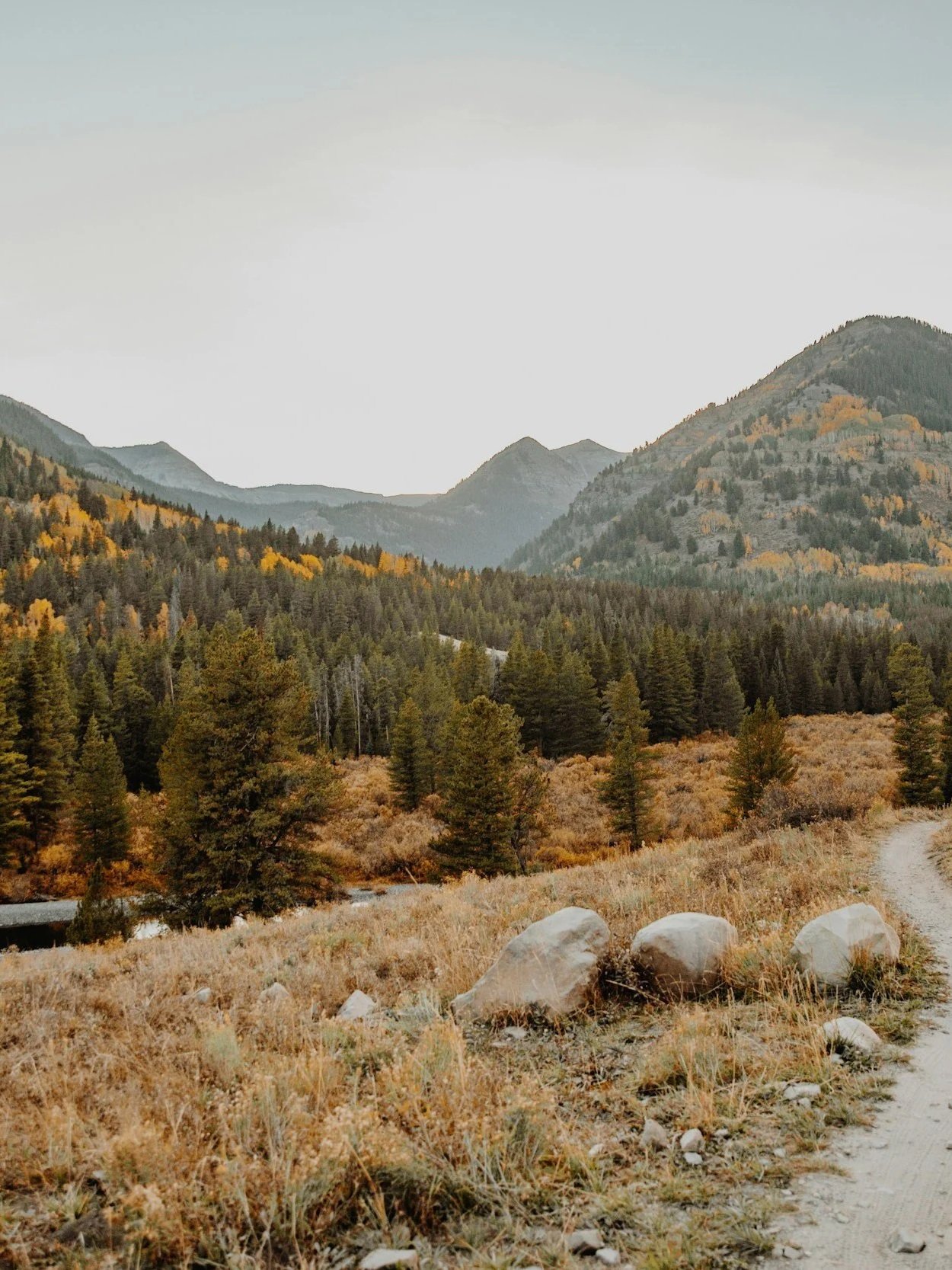 Scenic view of mountains in Western Slope Colorado, covered with trees in autumn, with a dirt trail and large rocks in the foreground.
