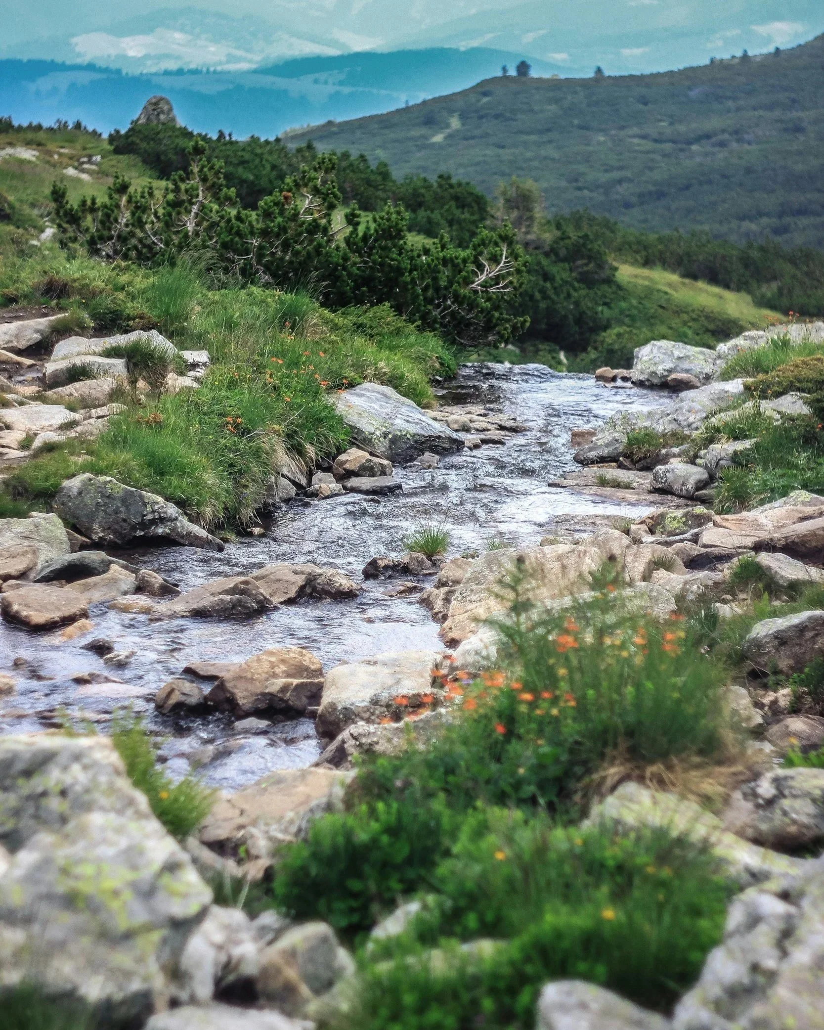 A scenic mountain landscape with a gently flowing stream, surrounded by grassy fields, rocks, and dense green trees, with distant rolling hills and mountain peaks under a partly cloudy sky in Western Slope Colorado.