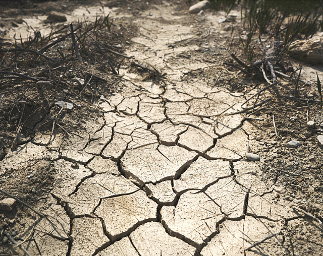 Dry, cracked soil with sparse vegetation and burnt grass in a barren landscape.
