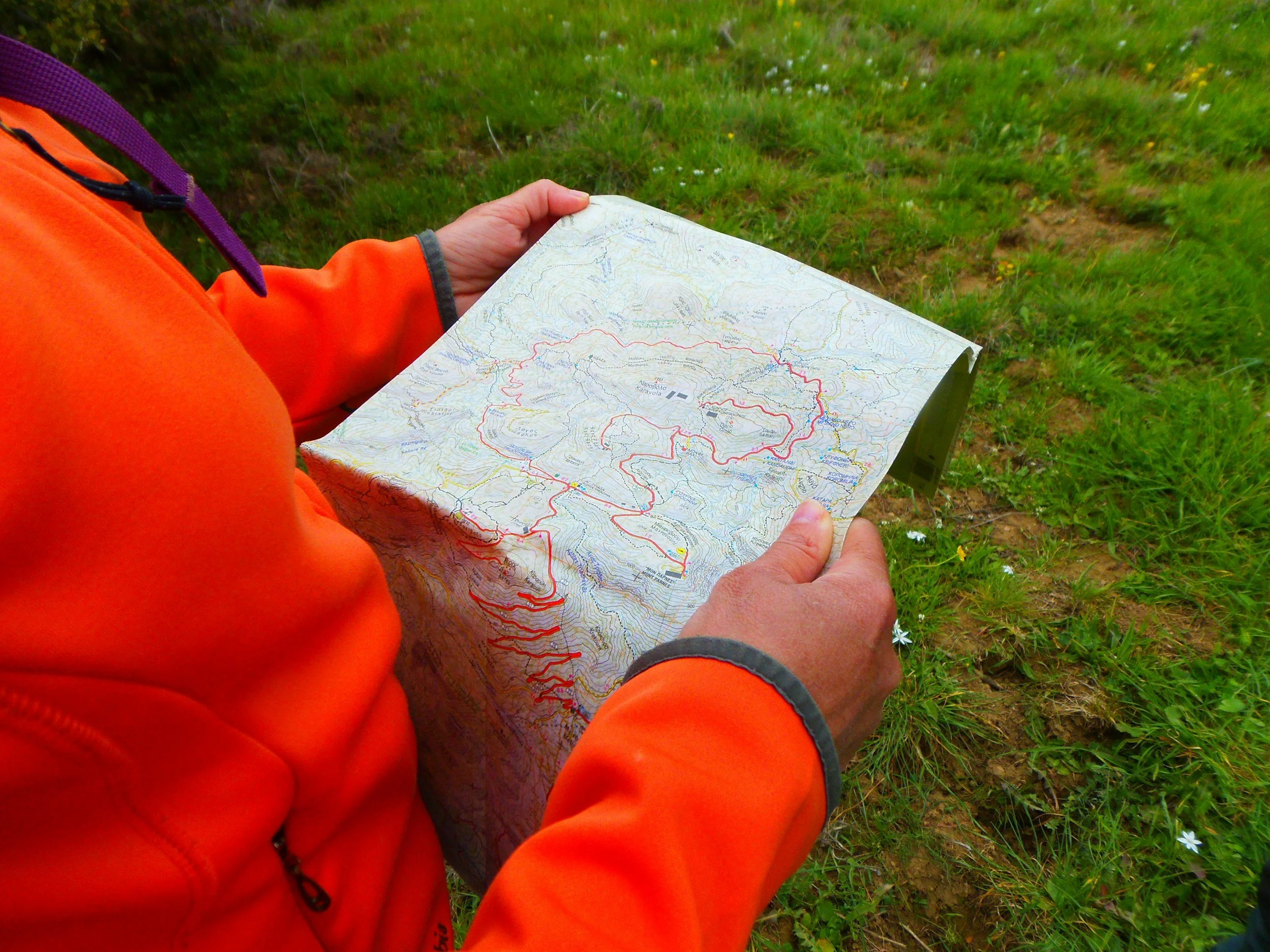 Person in orange jacket holding a folded topographic map outdoors on green grass.