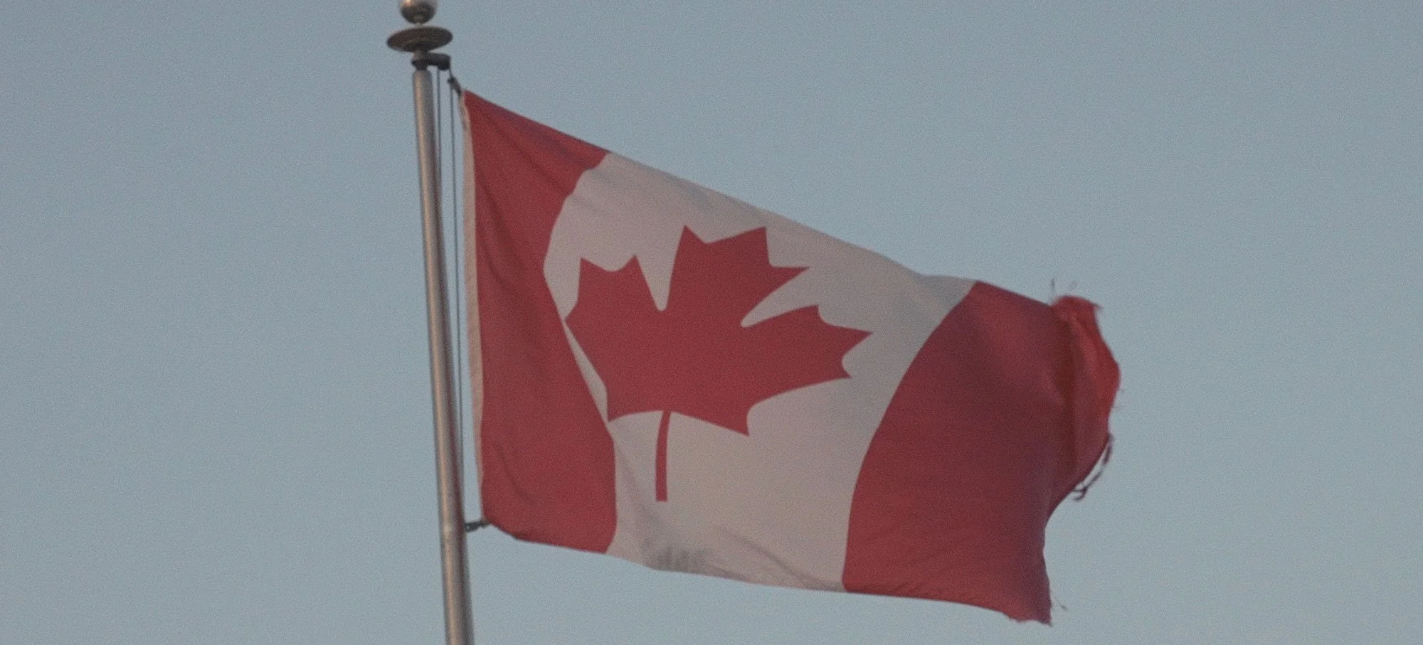 Pickands Mather Customs Processing | Canadian flag waving in the wind against a clear sky.