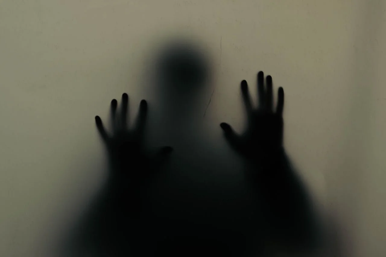 Meeting the Shadow: The Ancient Traditions, Modern Neuroscience, and Practical Tools of Integration