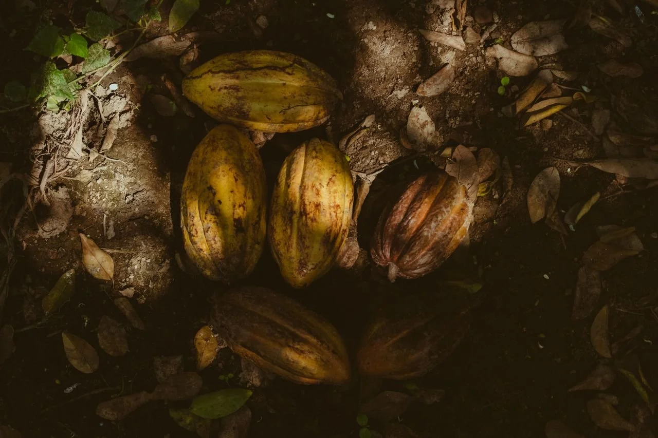 The Sacred Altar of Cacao: Honoring the Fire