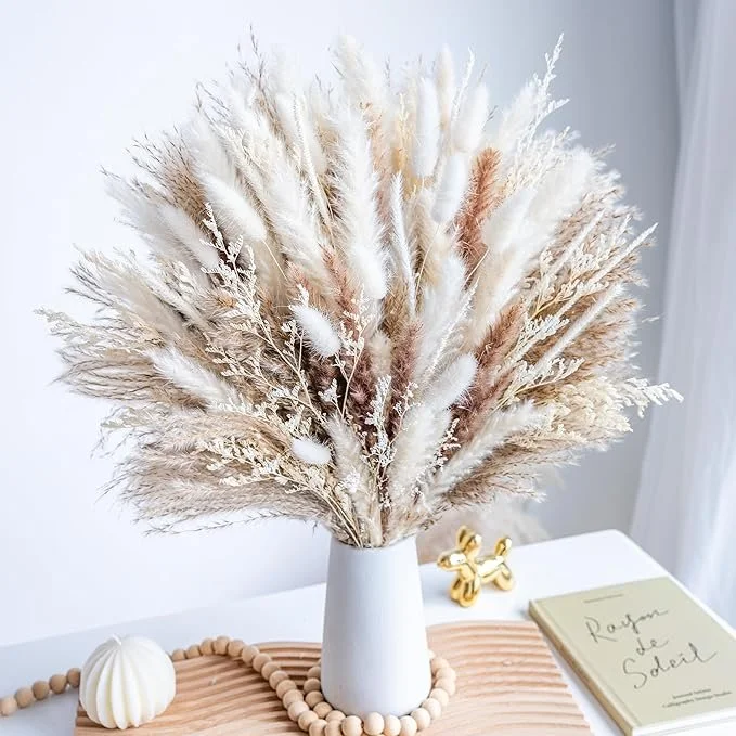 The best pampas to earth up a space.