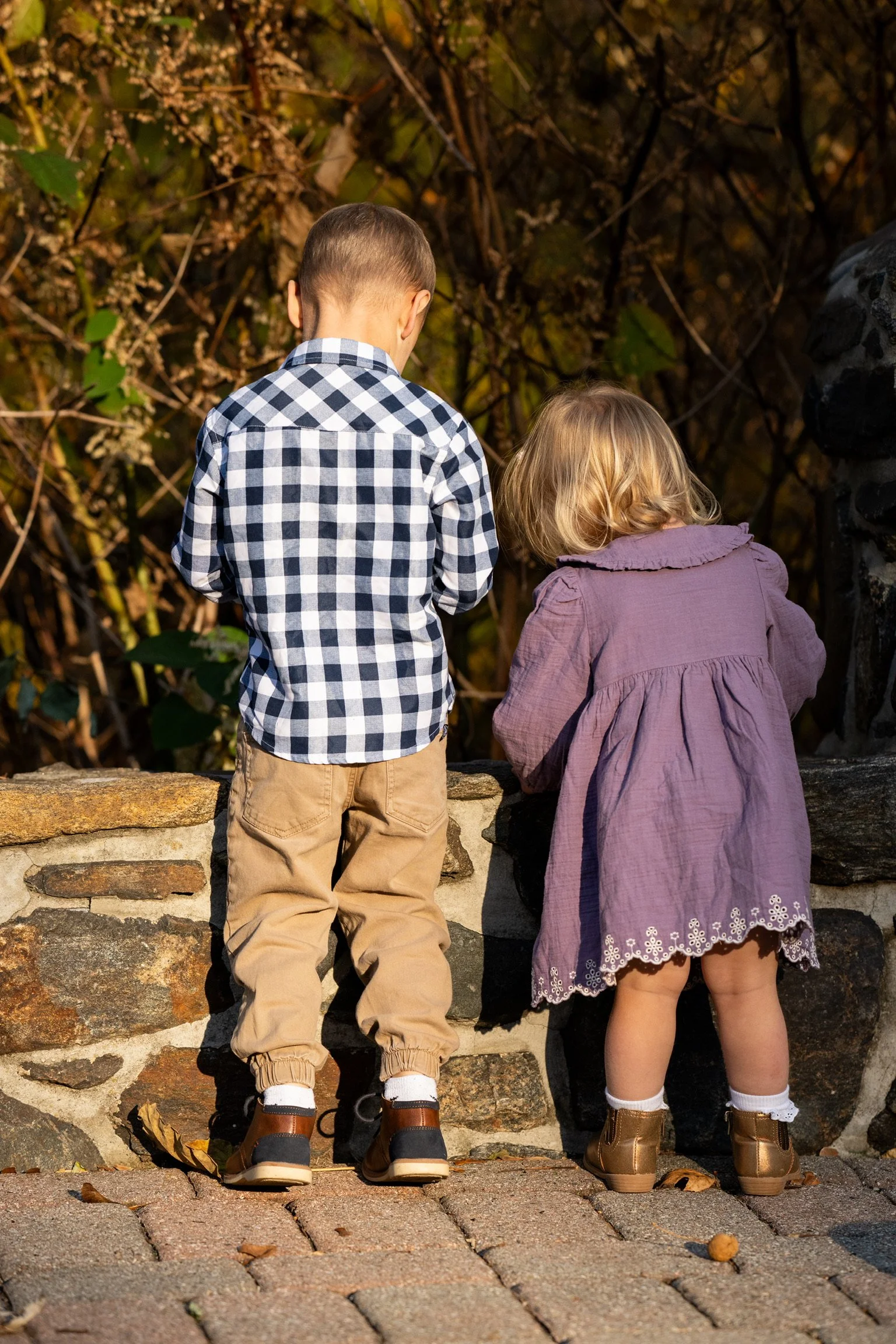 Two young children, a boy and a girl, stand on a stone or brick surface with a stone wall in front of them. They are looking away from the camera, towards foliage or bushes. The boy is wearing a black and white checkered shirt, beige pants, and black shoes. The girl is wearing a purple dress with embroidery at the hem, white socks, and gold shoes.