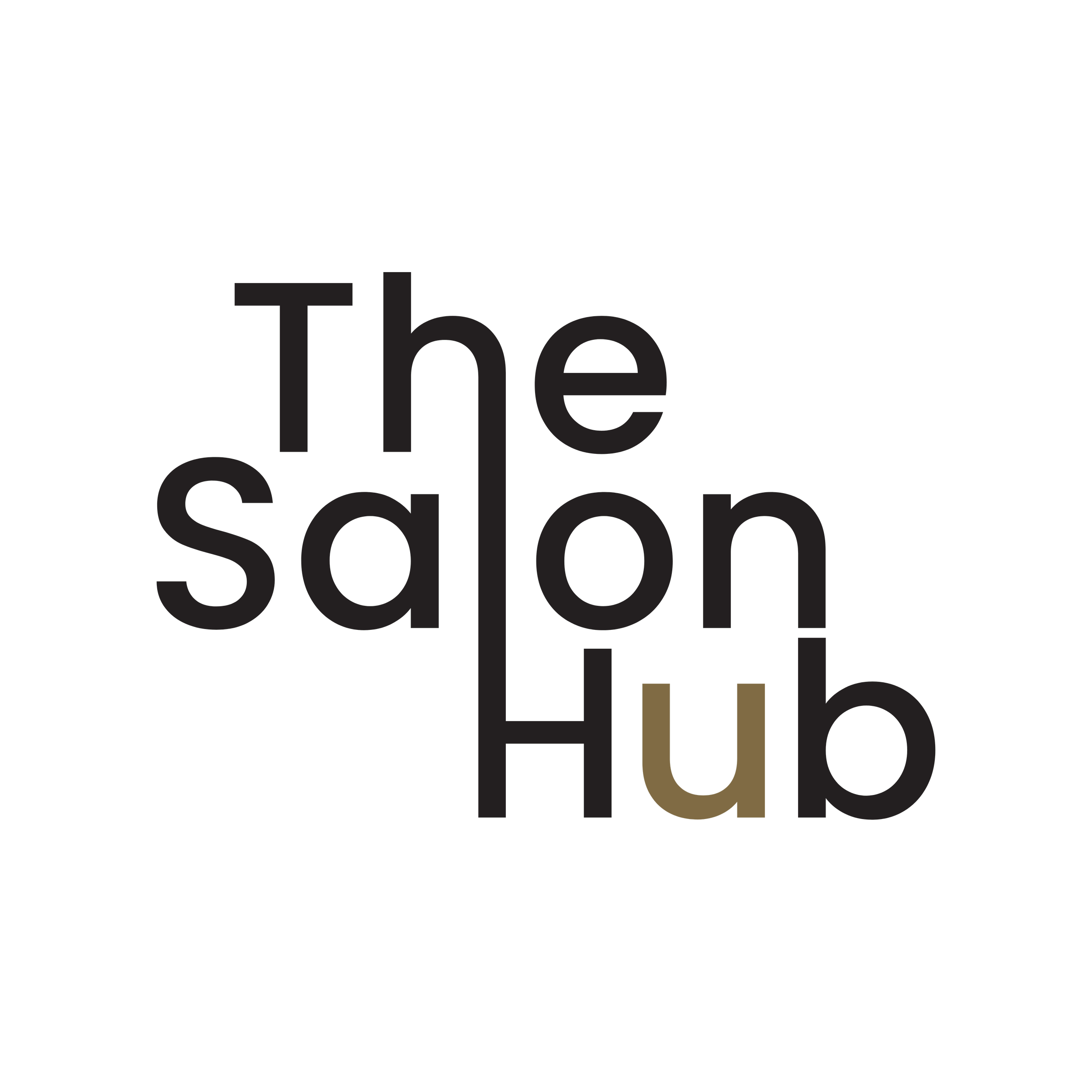 Logo for The Salon Hub featuring stylized text in black and gold.