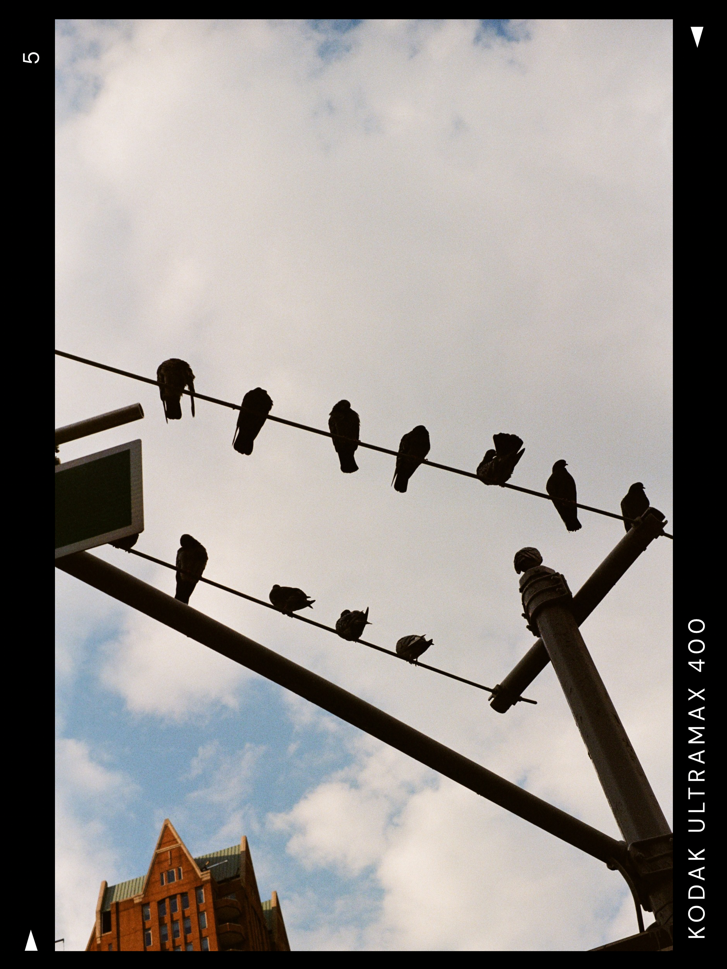 Perched — 35mm shot on Kodak Ultramax 400 fine art photography by Kavion Sabio