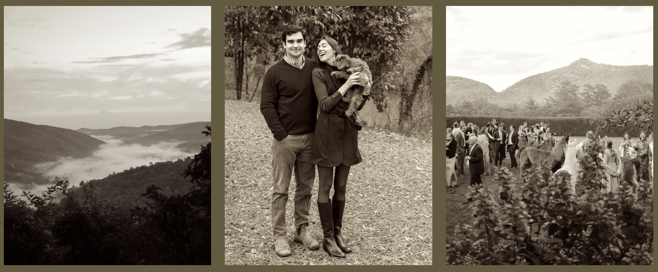 Triptych featuring a landscape of rolling hills and mist in the first and third images, and a couple with a small dog in a forested area in the middle.