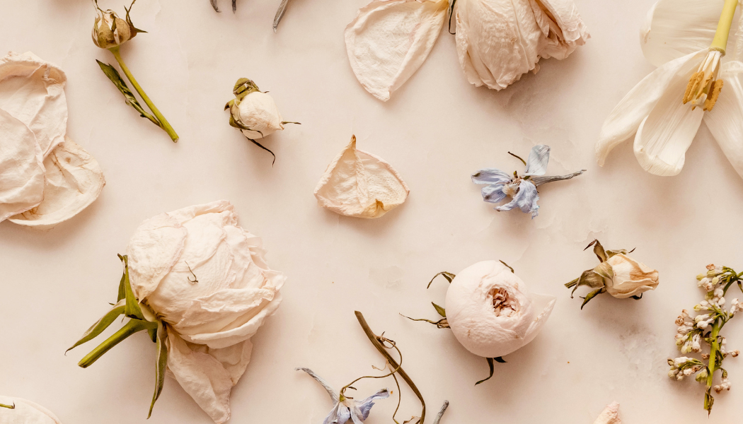 Dried and wilted flowers and petals arranged on a white surface.