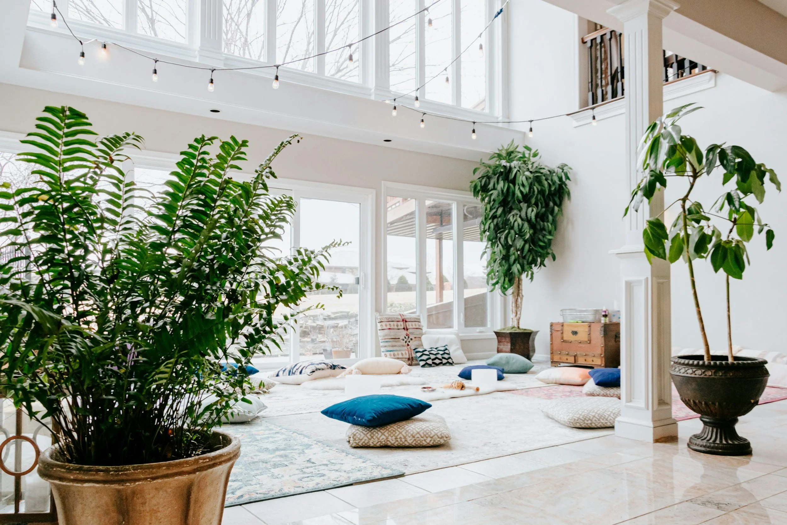 Sunlit living room with large windows, potted indoor plants, and scattered cushions on the floor.