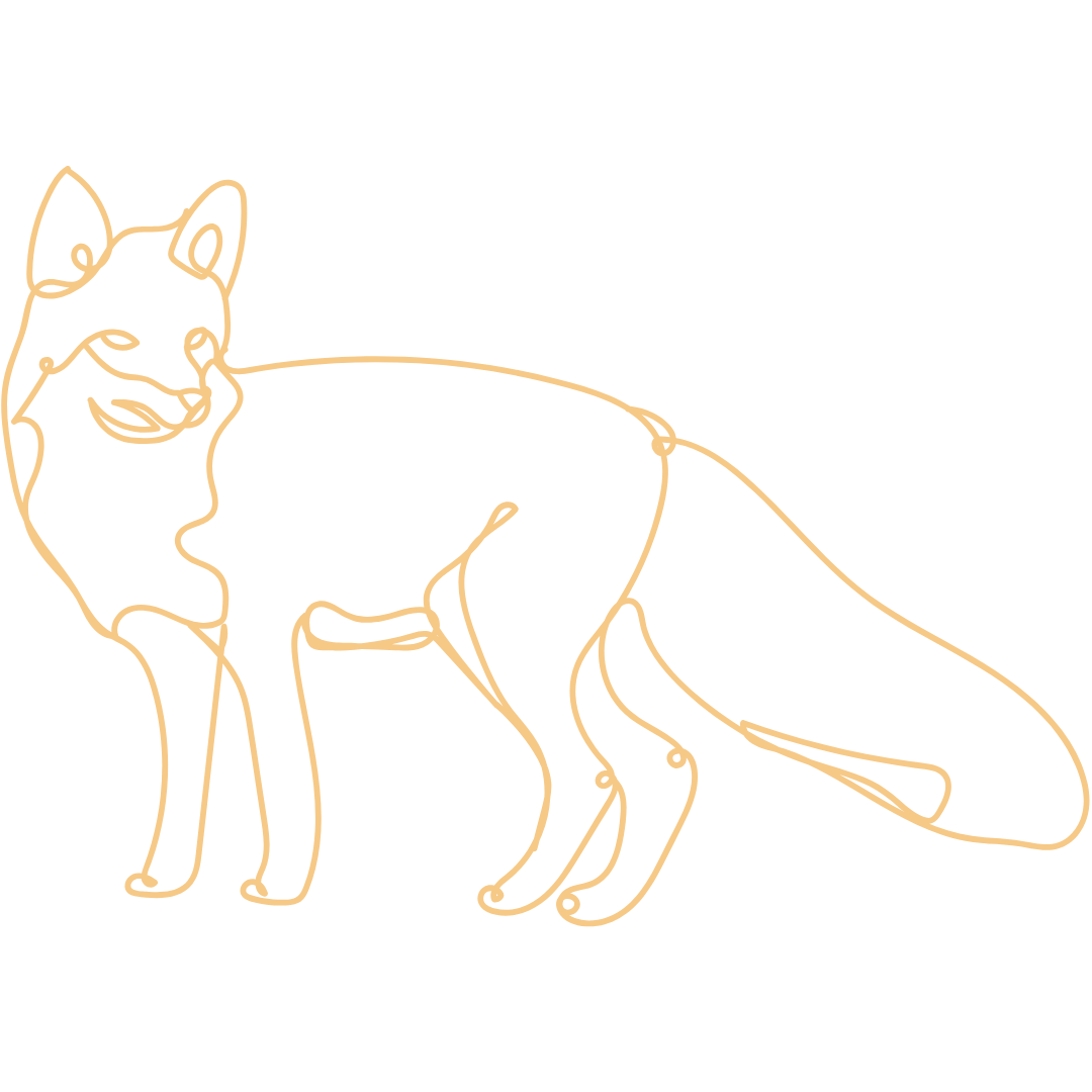 Outline drawing of a fox created with a continuous single line, on a black background.