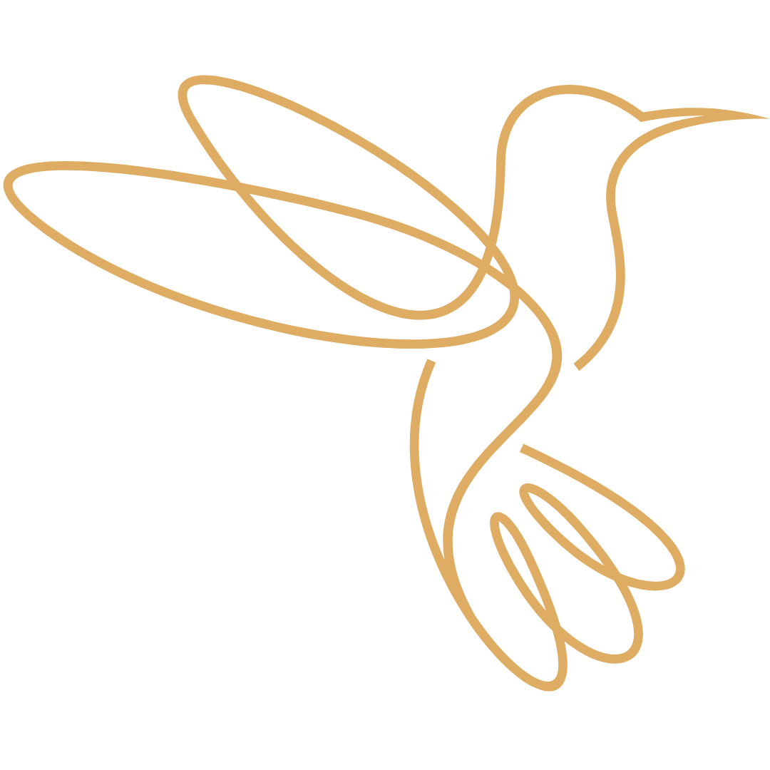 Line art illustration of a flying hummingbird with open wings, in a continuous gold outline style.