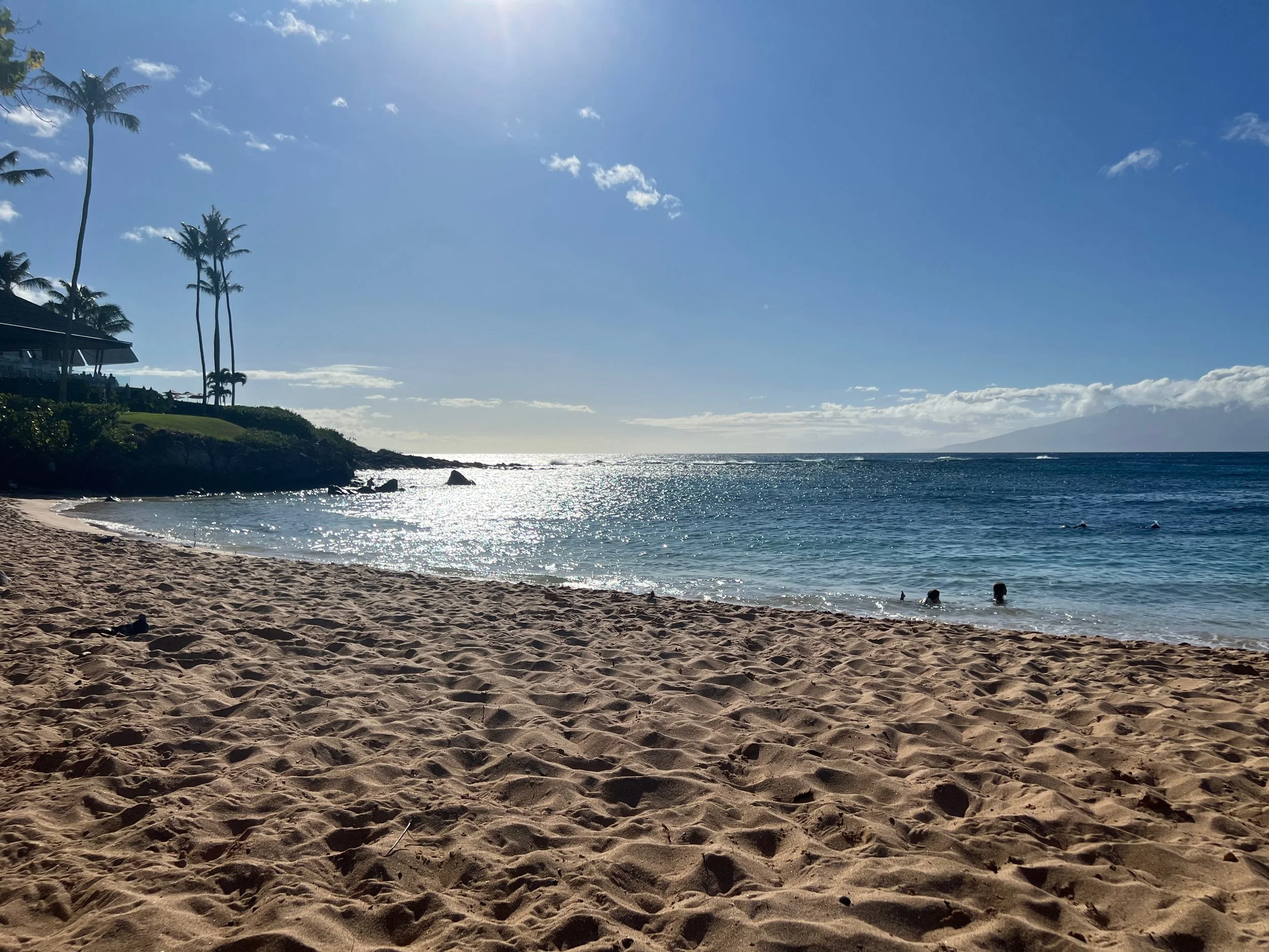 A tropical beach with golden sand, blue ocean waters, palm trees, and a bright sky with some clouds.