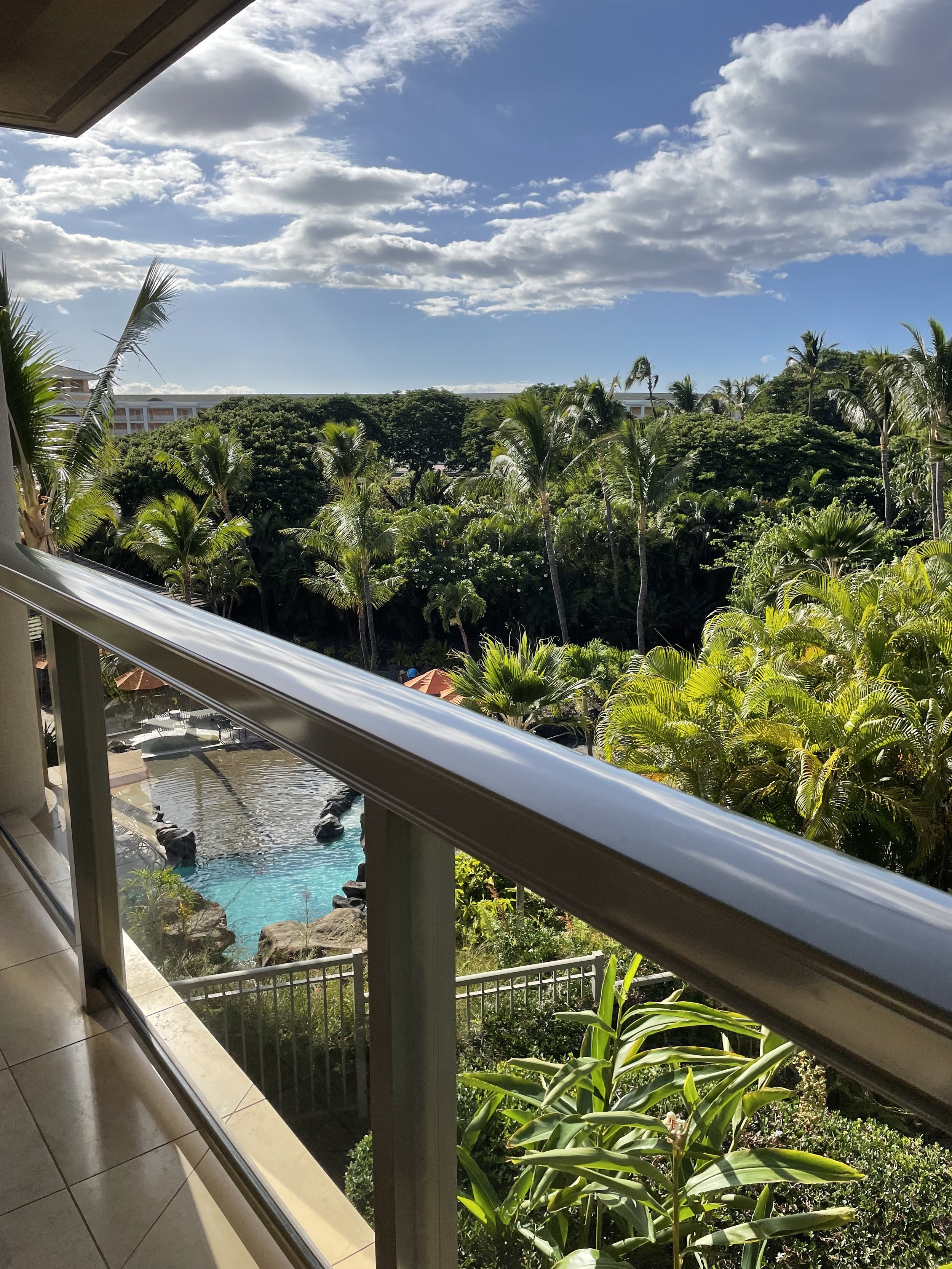 View from a balcony overlooking a lush tropical landscape with palm trees, a swimming pool, and a partly cloudy blue sky.