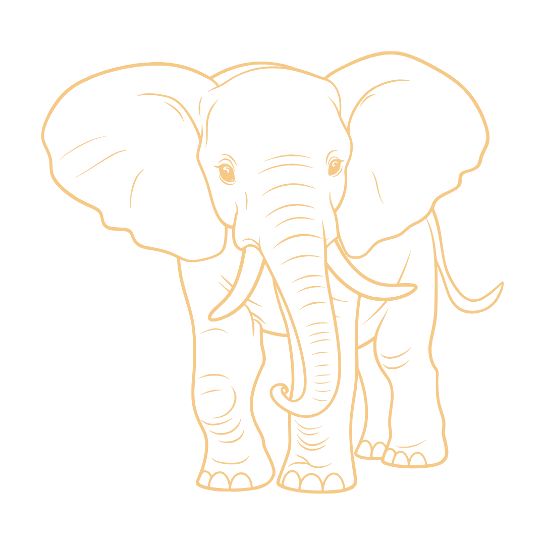 Line art illustration of an elephant with large ears and trunk, set against a black background.