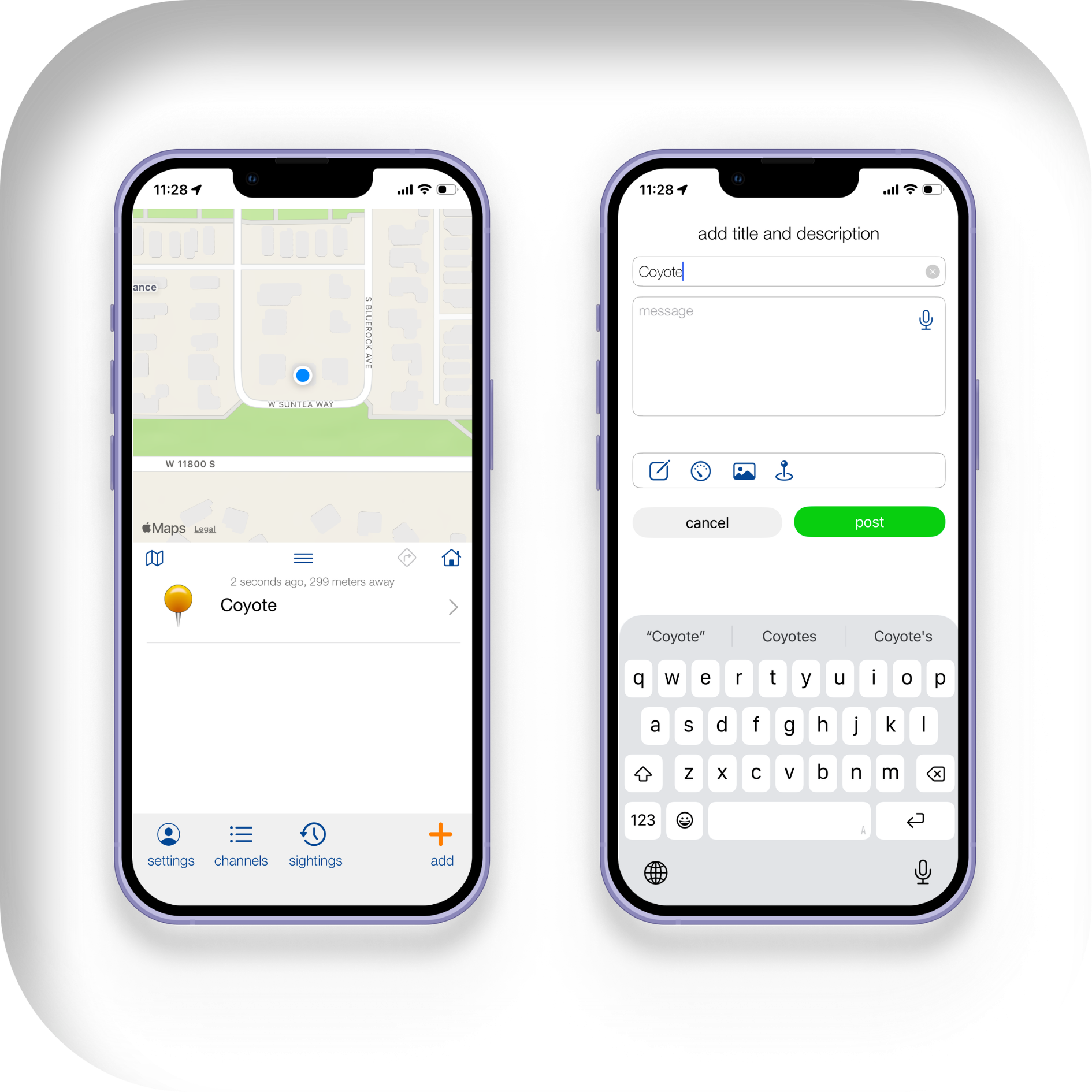 report coyote sighting