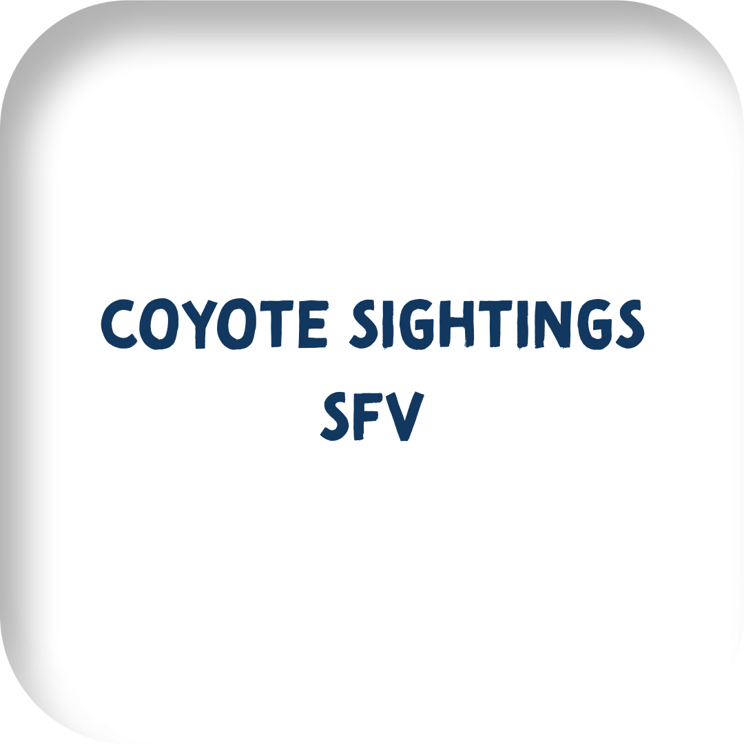 coyote sightings sfv