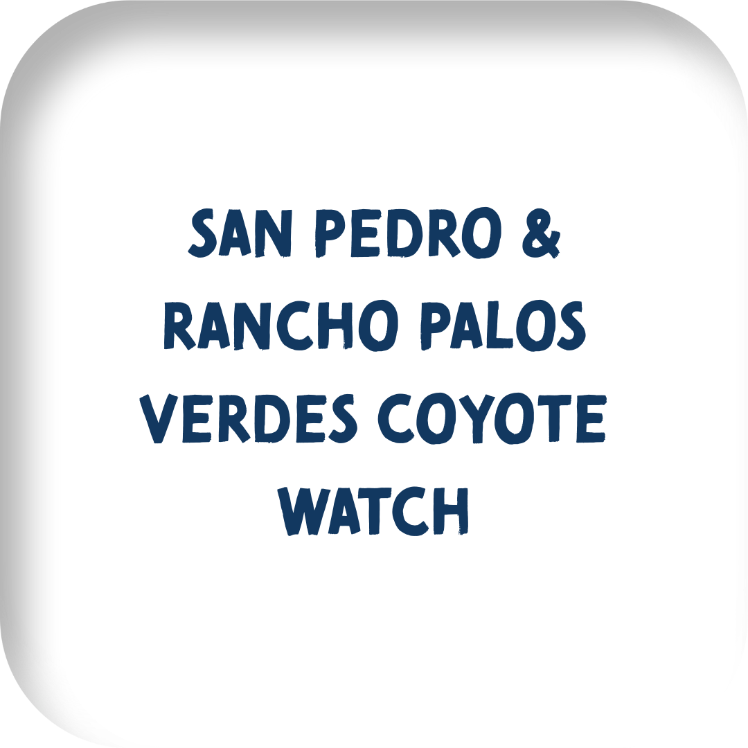 San Pedro &amp; Rancho Palos Verdes Coyote Watch