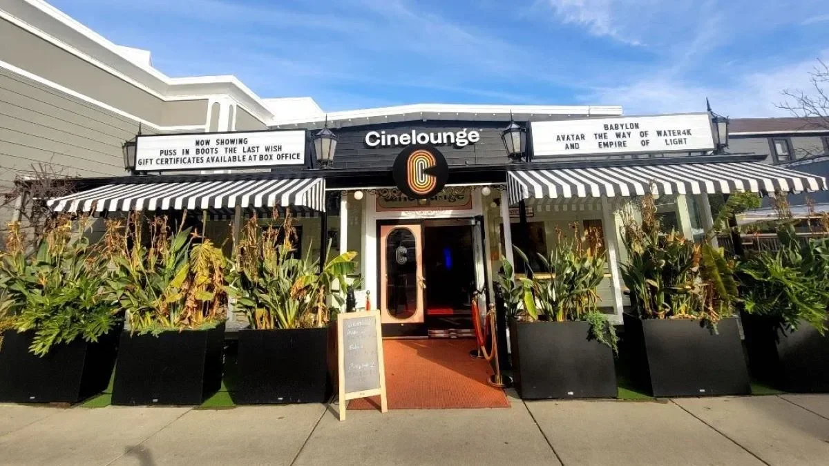 Cinelounge: Commercial Space in Theature + possible merch.