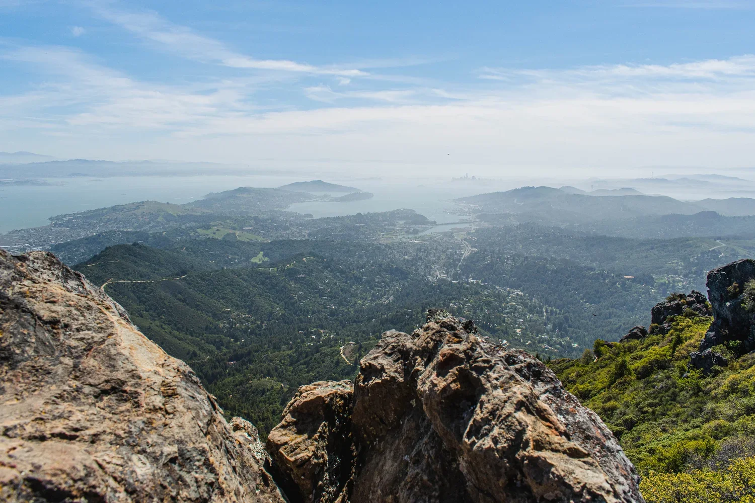 20210411+Mount+Tam+East+Peak+X-26.webp