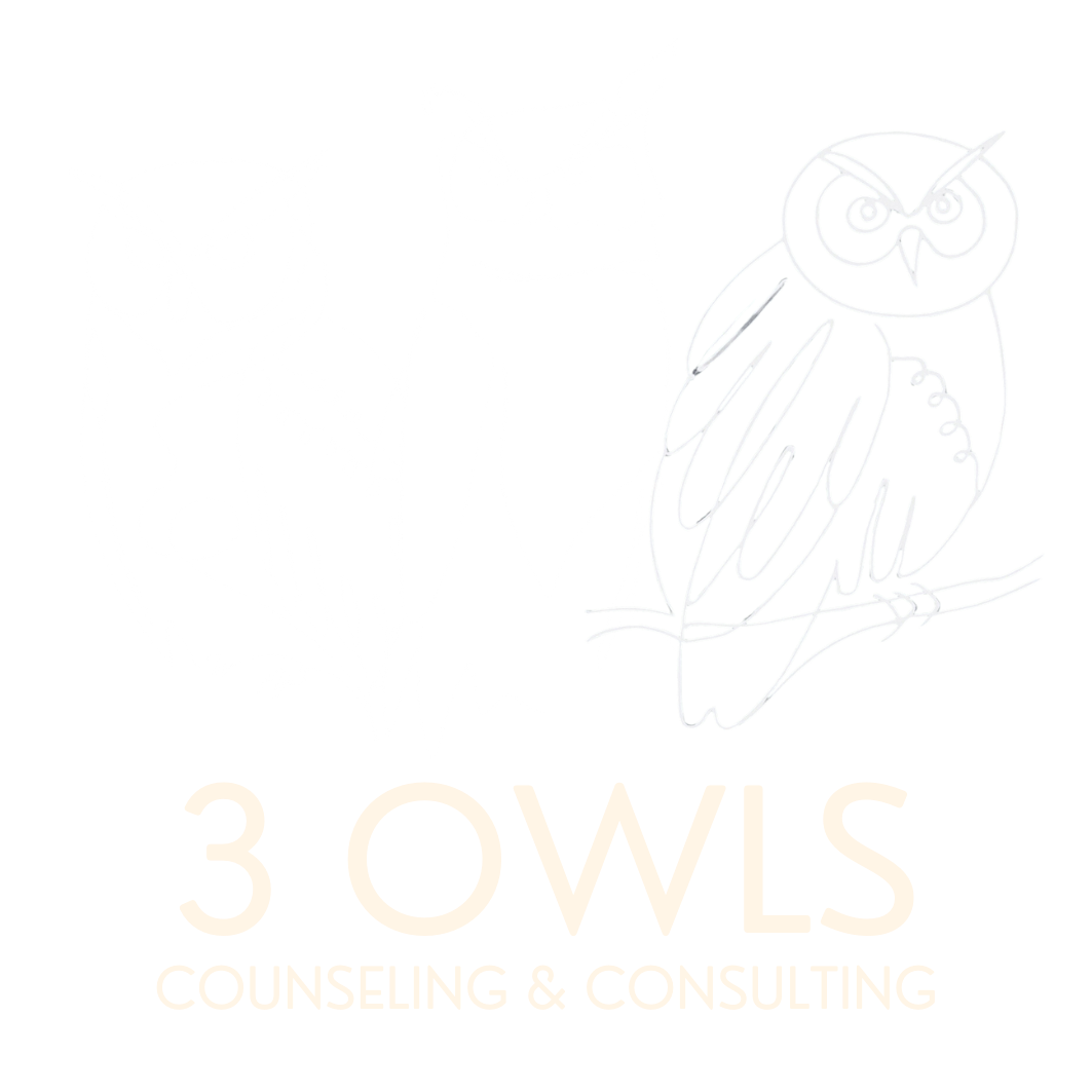 3 Owls Counseling