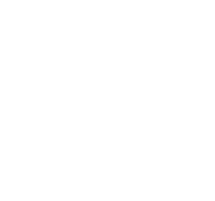 Bajaj Realty Group LLC