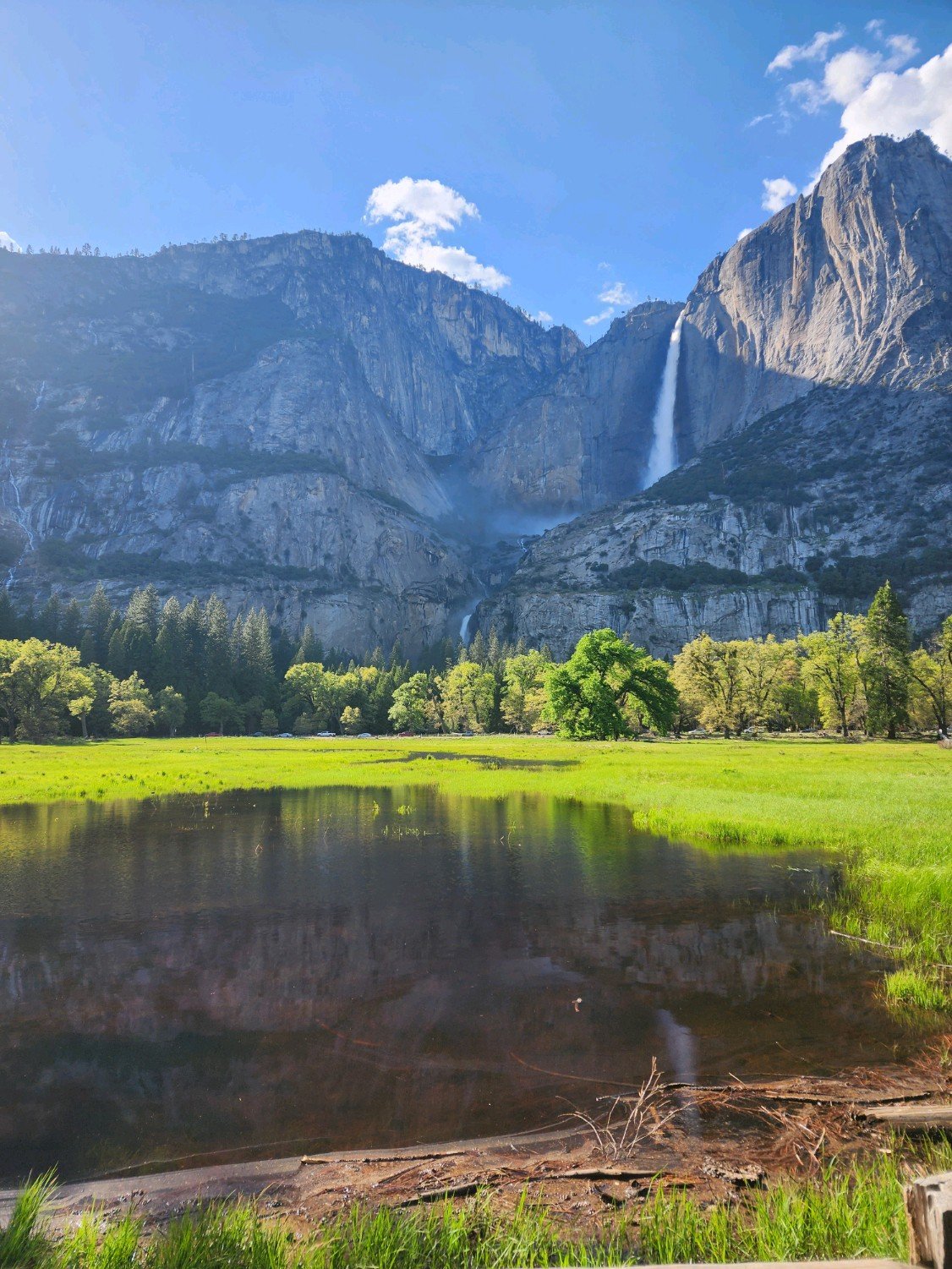 Live class: Painting from Photos