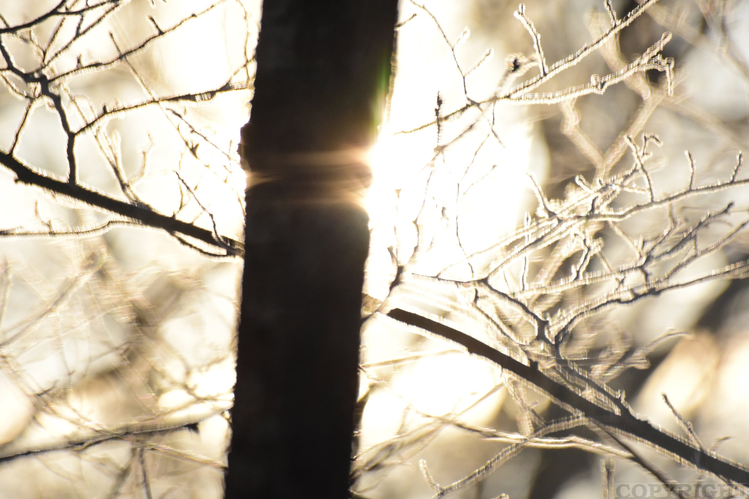 Armand E refraction 105