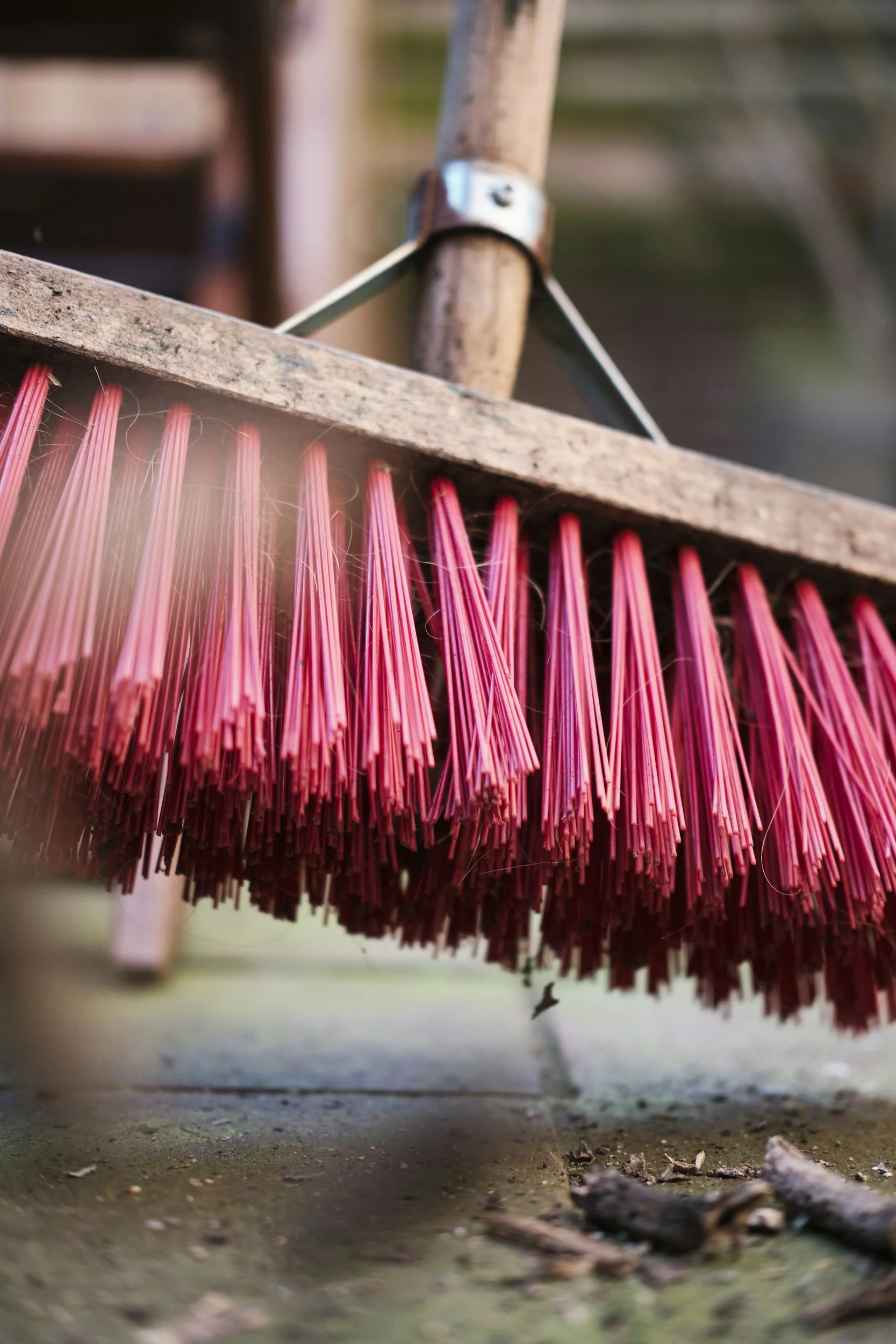 unsplash-image-hUWlPaOHyAI.jpg