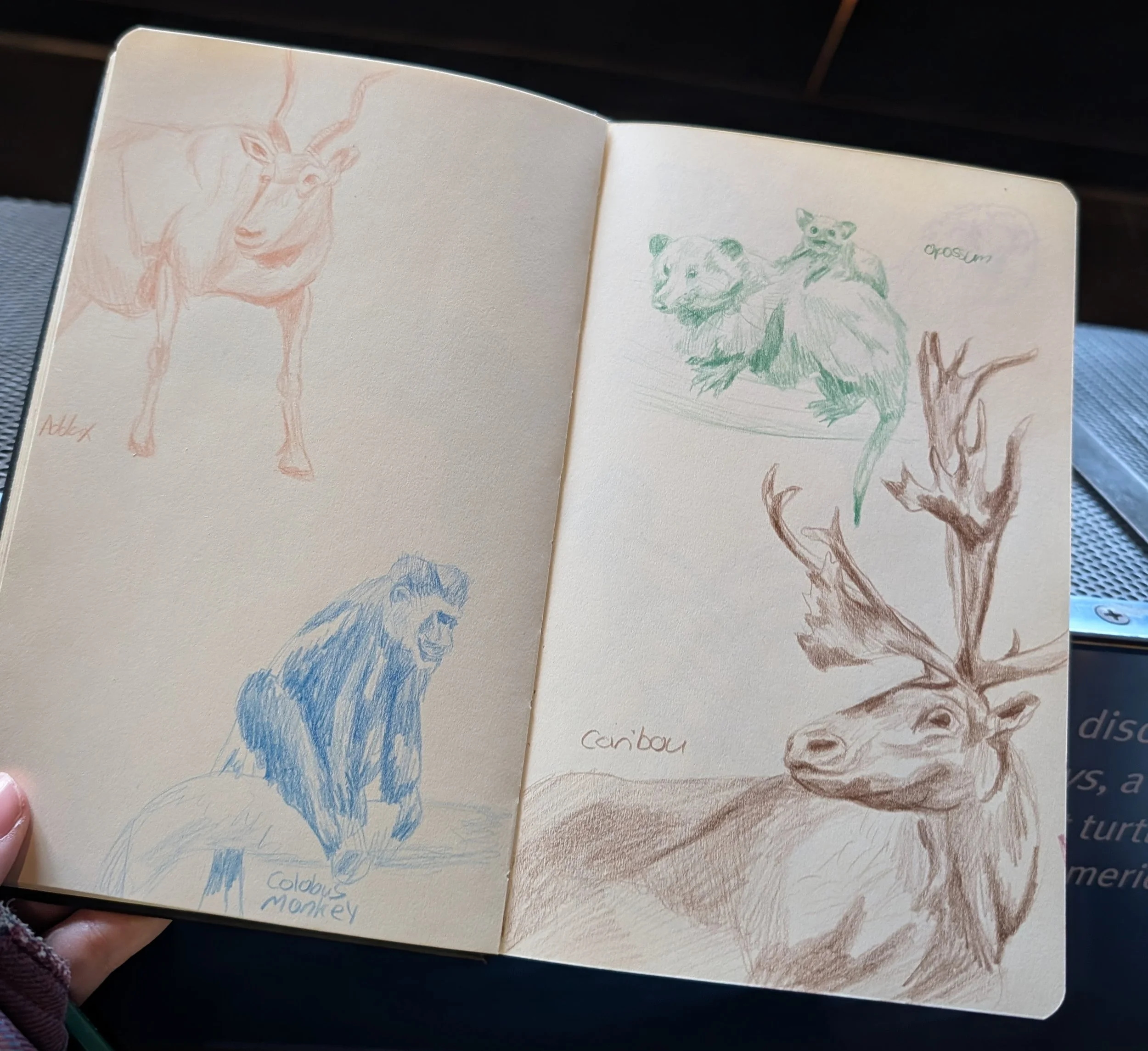 Sketchbook Spread from Academy of Natural Sciences 2/1/26