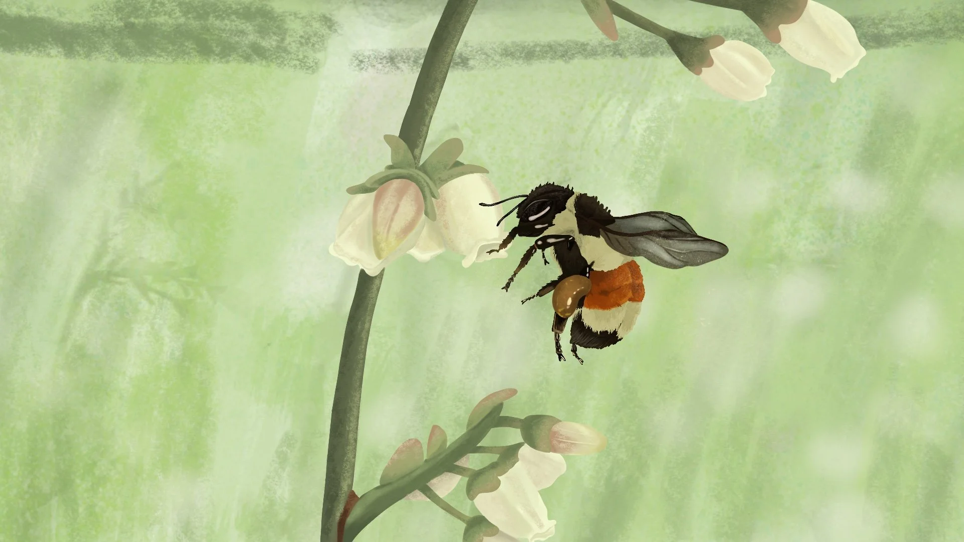 My First Adobe After Effects Animation!