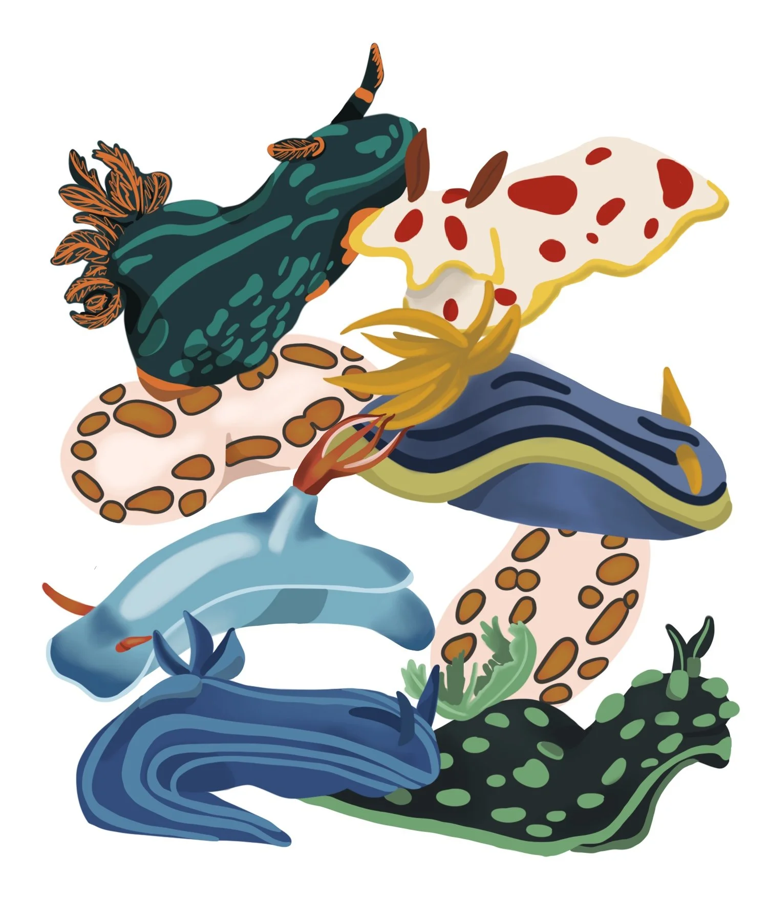 Nudibranchs (Digital)