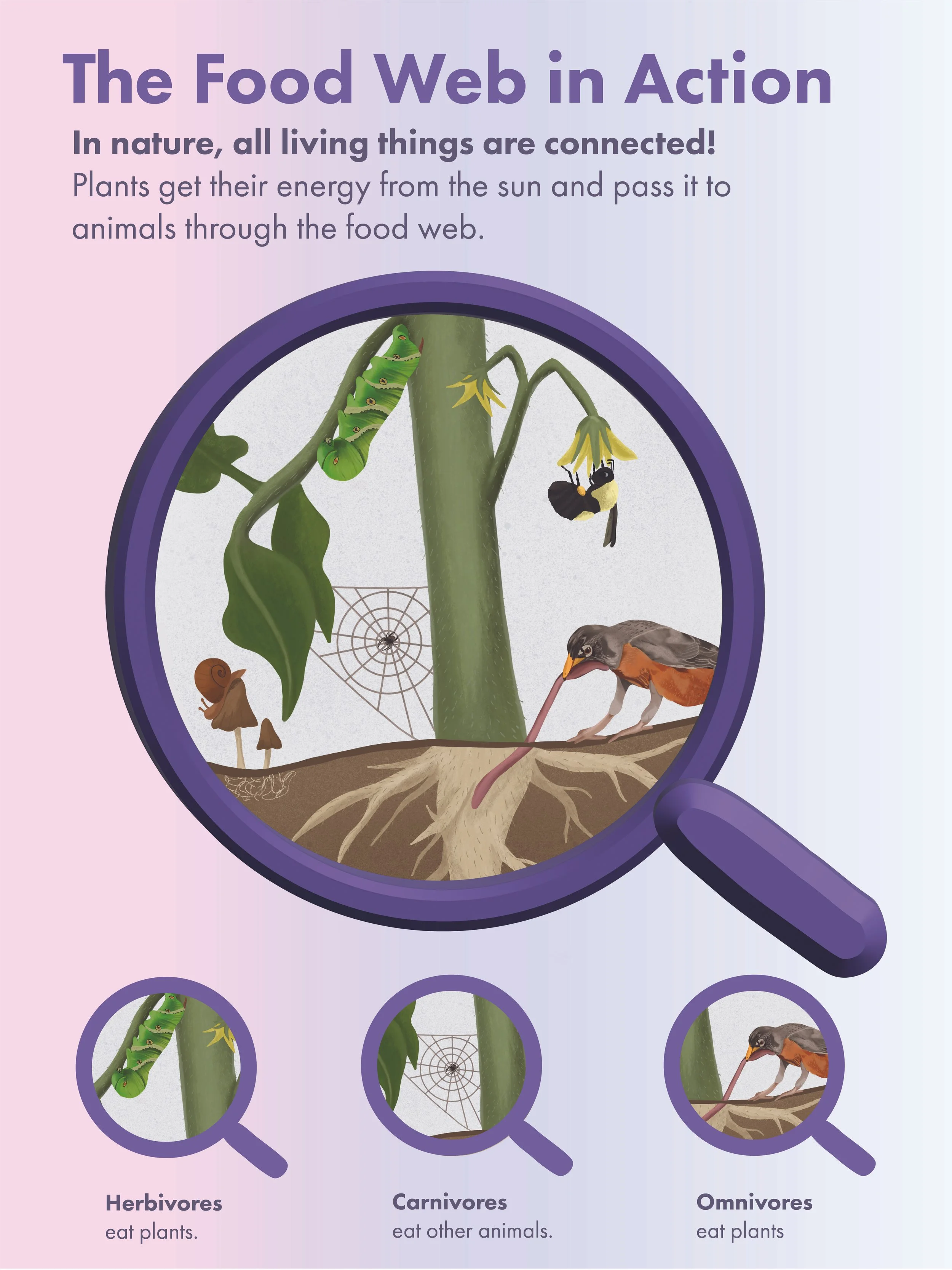 Food Web Exhibit Graphic