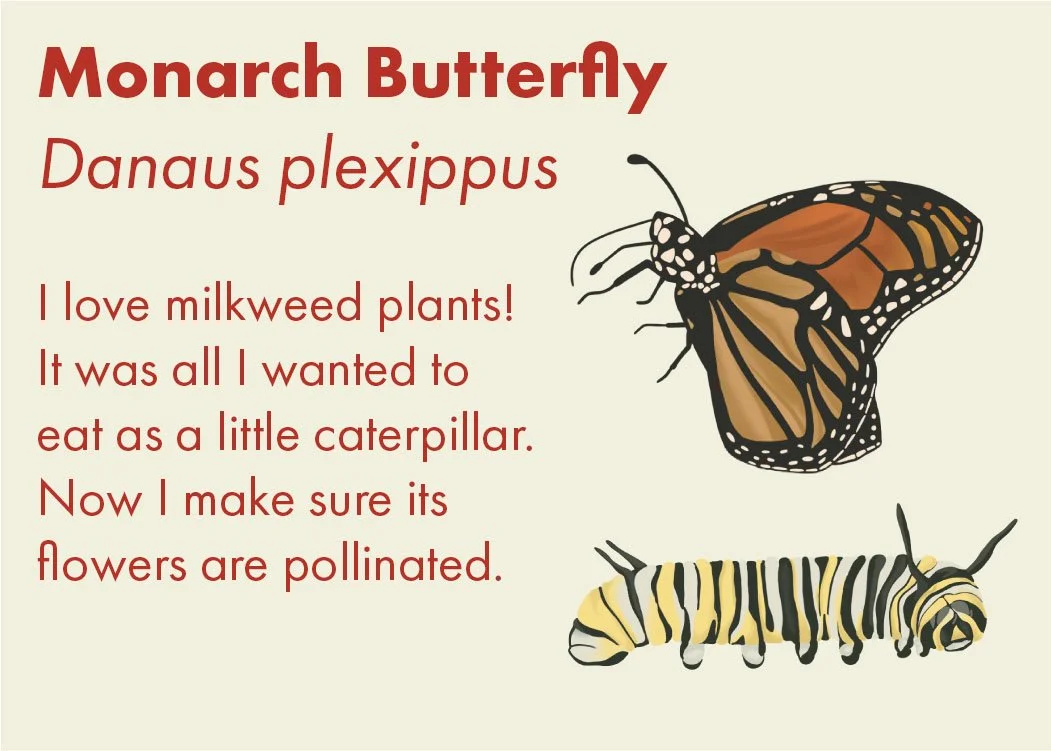 Ren Slagel_Butterfly Card .jpg