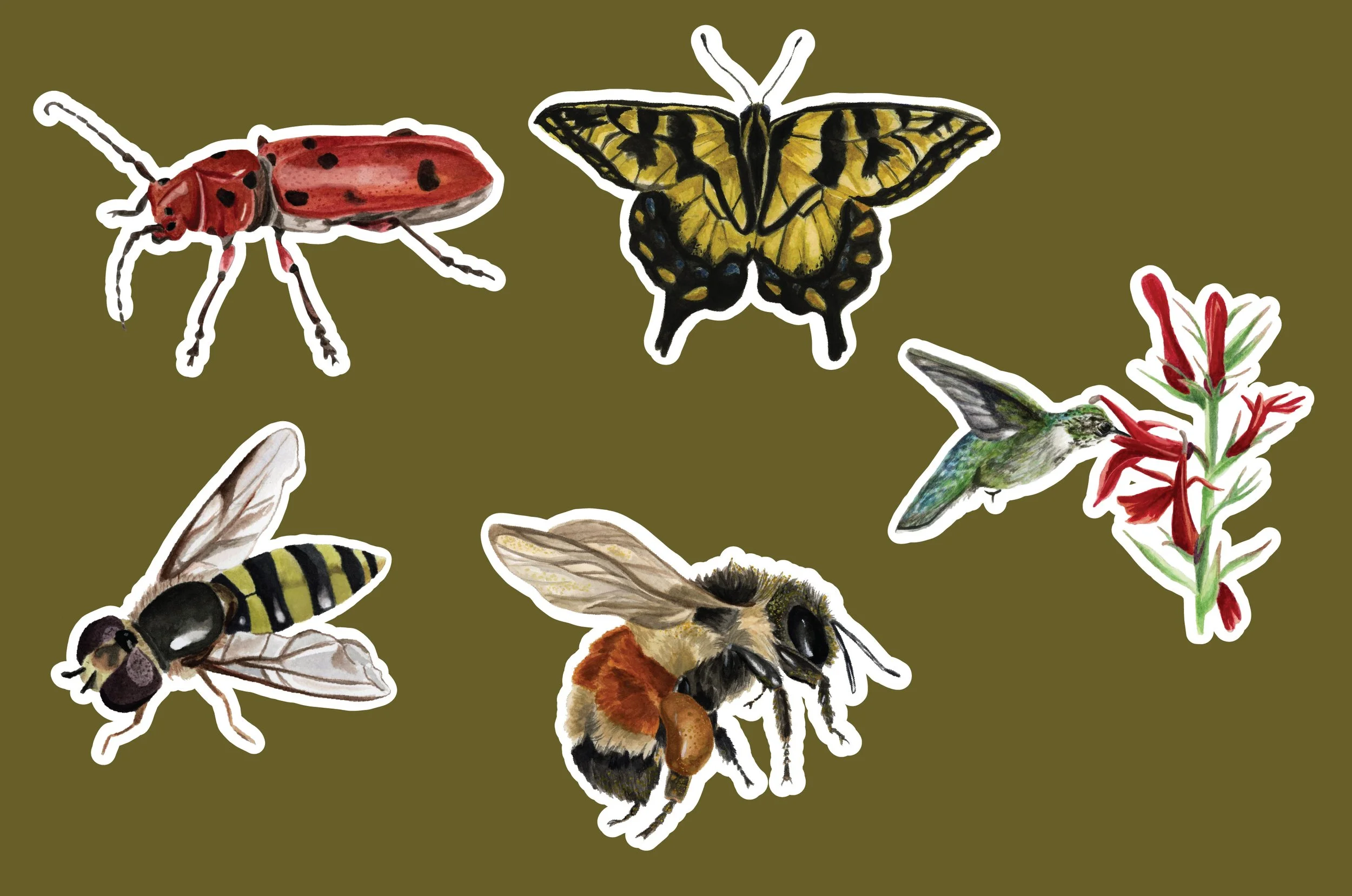 set of five pollinator stickers