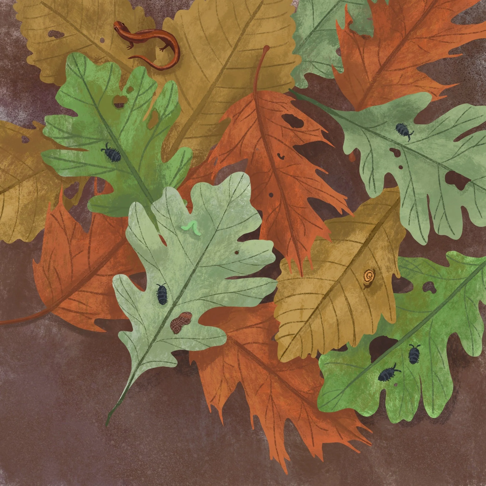 Forest Floor (Digital)
