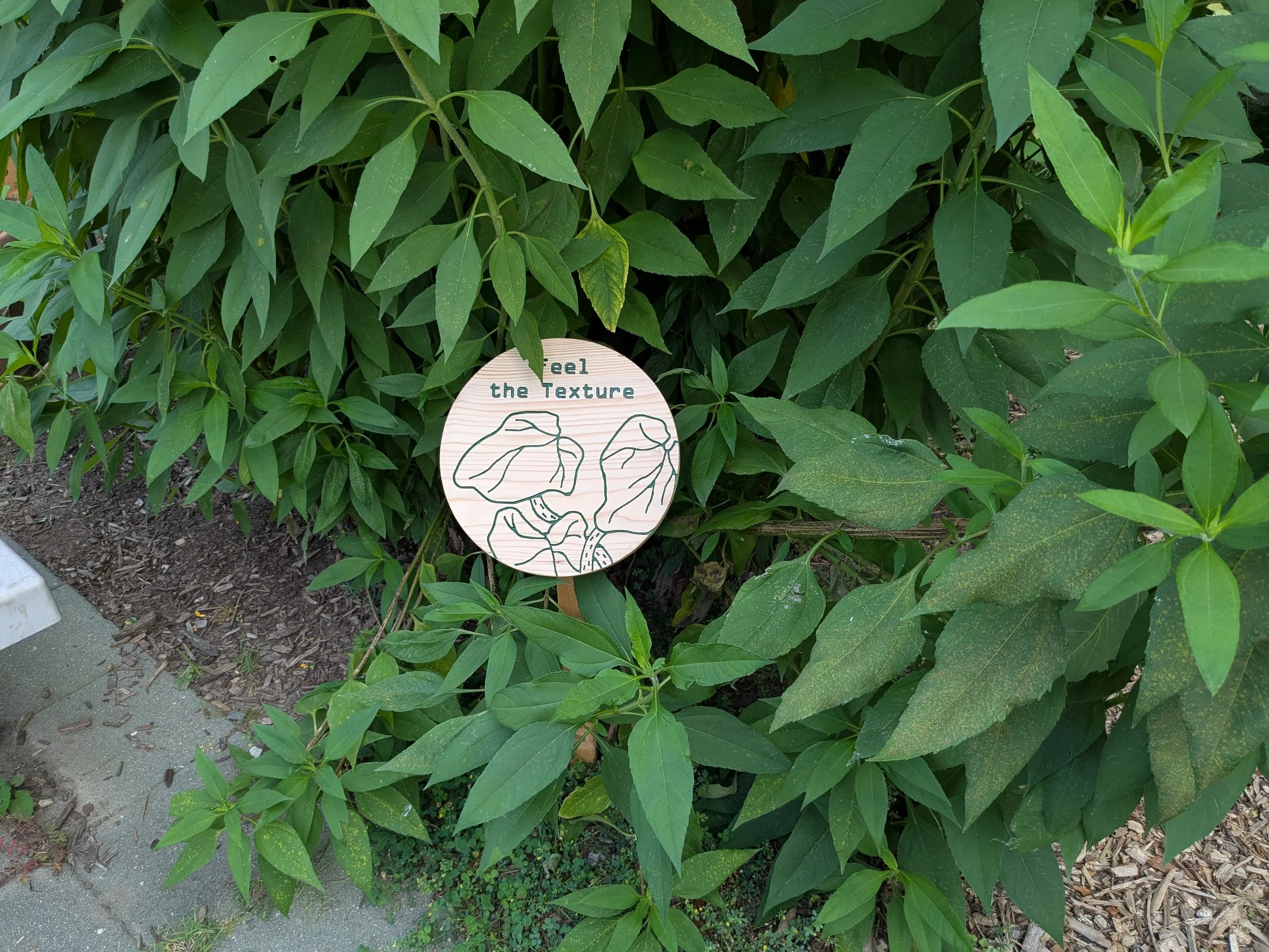wooden garden exhibit texture sign