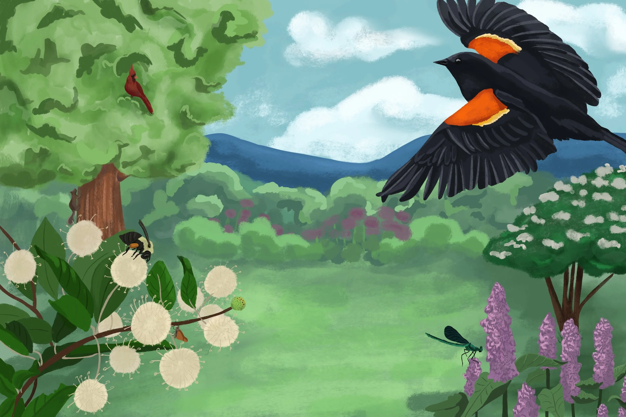 Children's Illustration