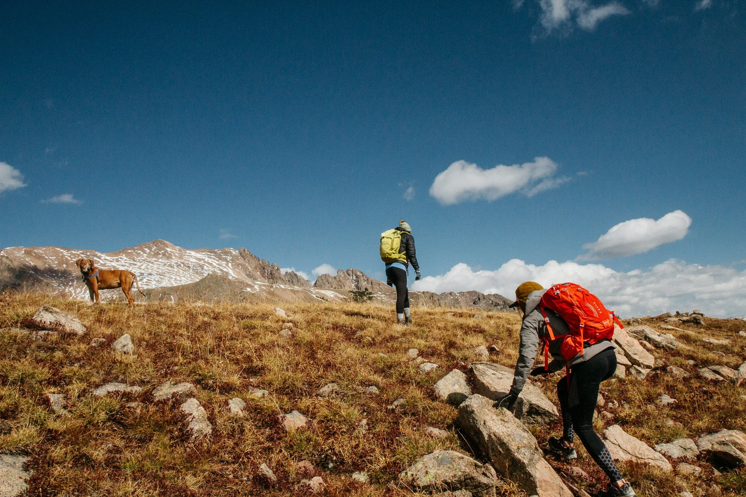 The Weekend Warrior Problem: When Your Body Can’t Keep Up With Your Plans