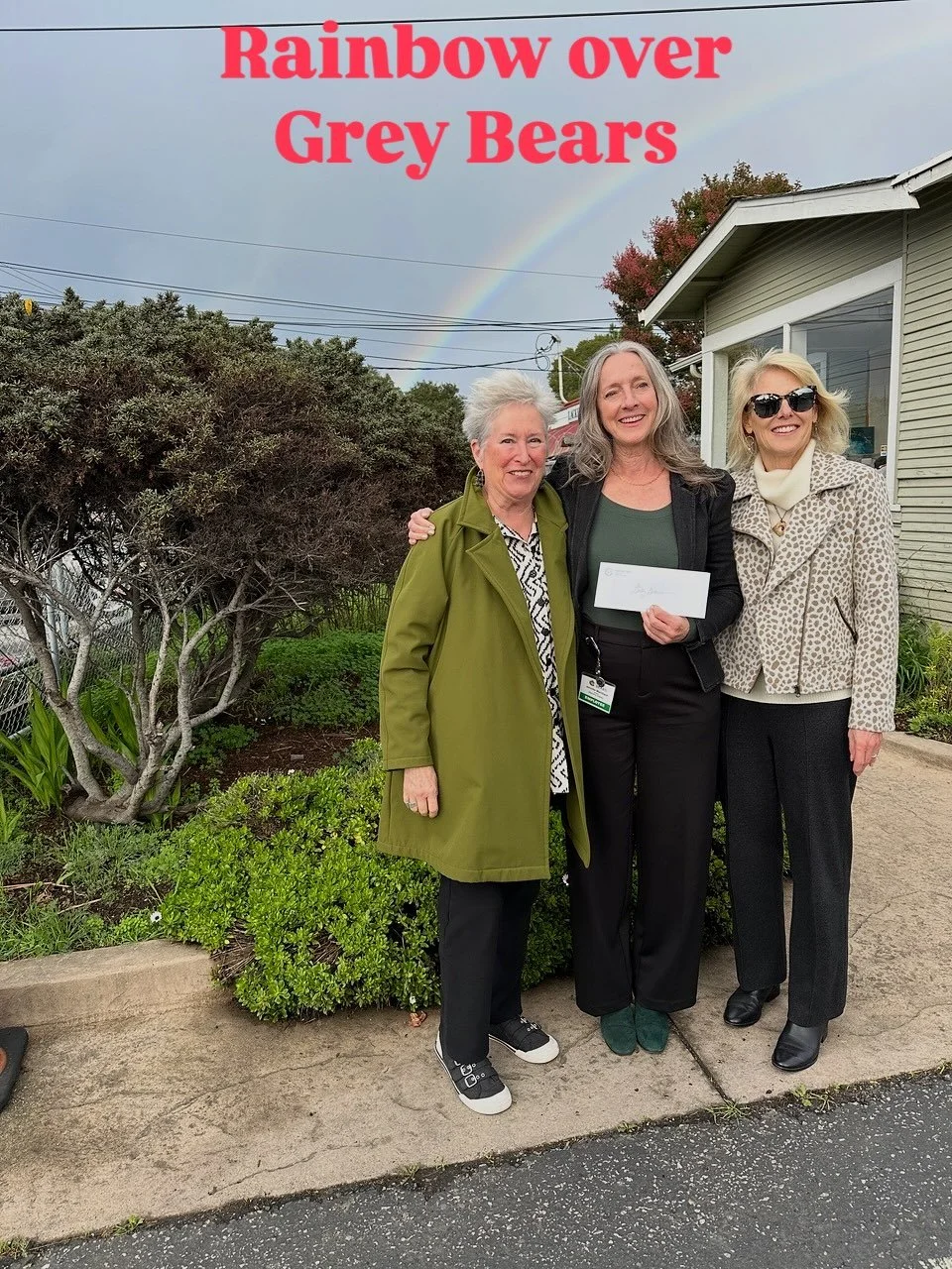 Grey Bears Santa Cruz