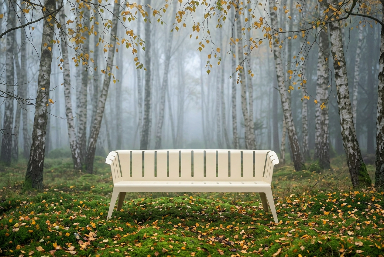 hero-north-forest.jpg