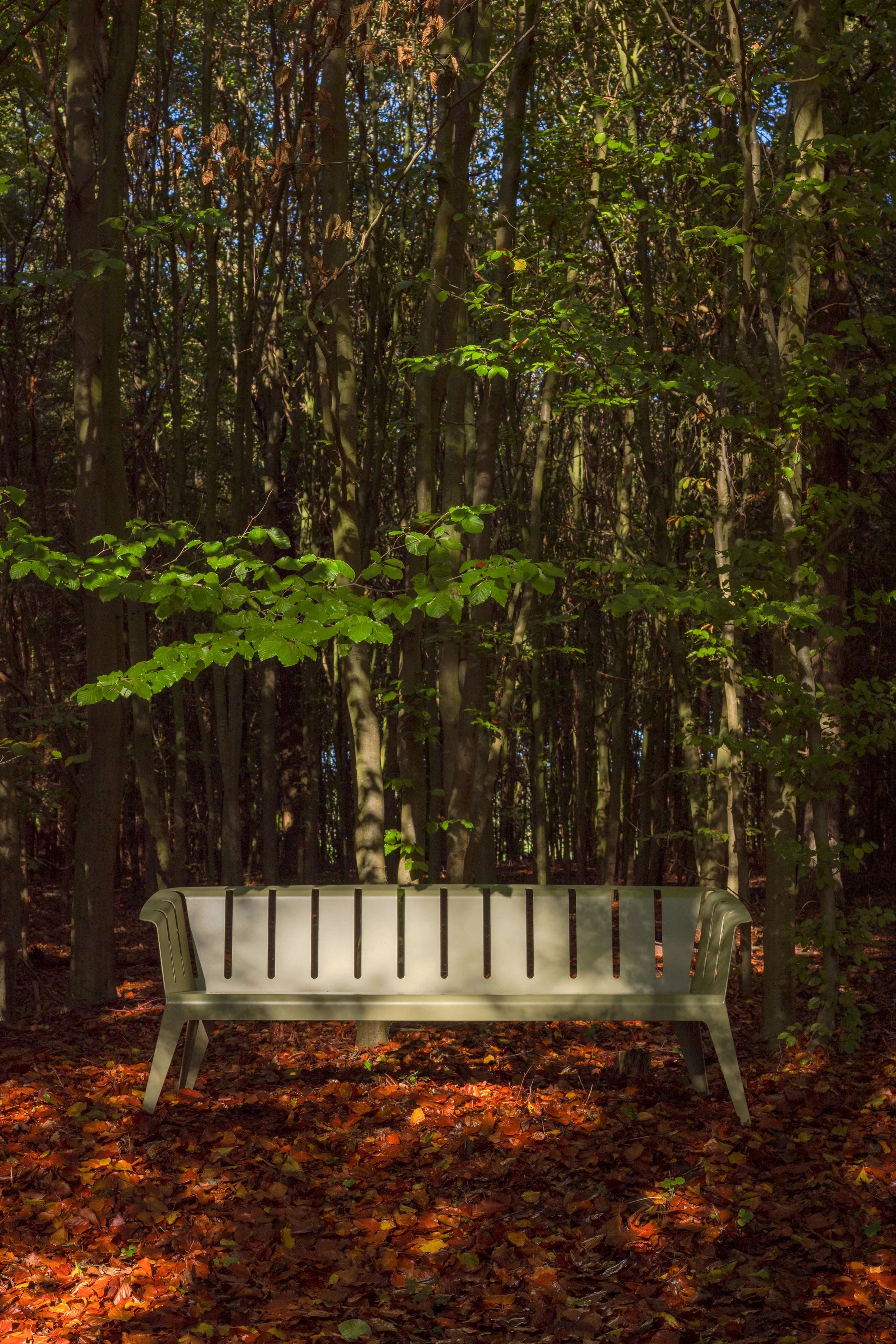 Eine weiße Parkbank im Wald, umgeben von grünen Blättern und Herbstlaub auf dem Boden.