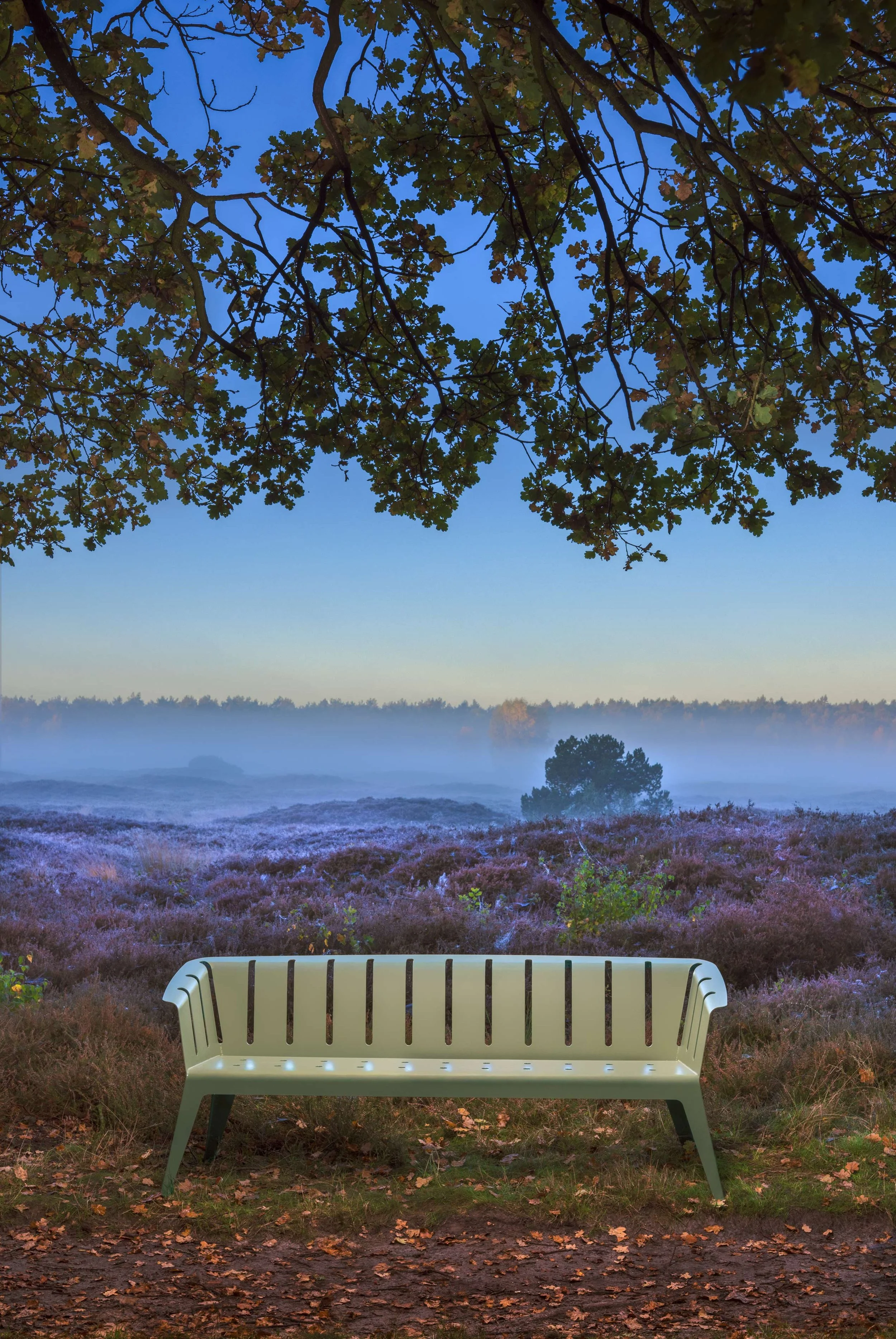 Eine einsame Parkbank vor einer nebligen Heidelandschaft mit Bäumen im Hintergrund unter einem Baum mit grünen Blättern im Himmel.