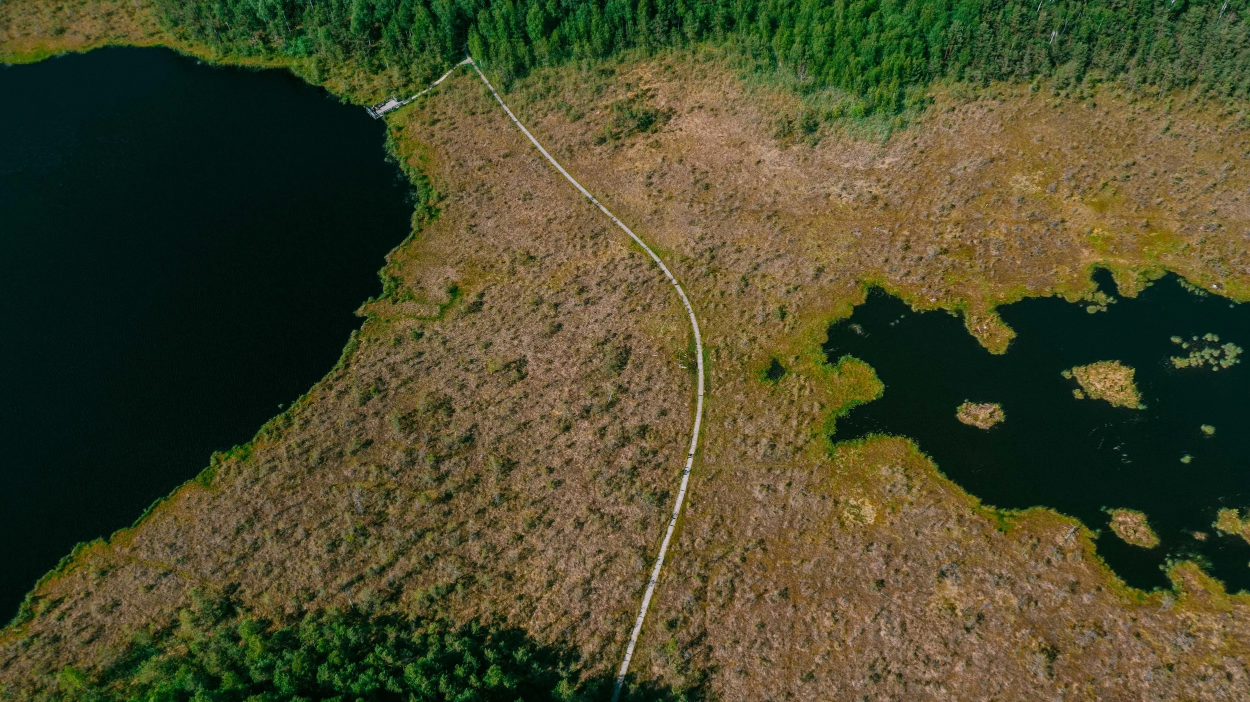 VARNIKAI NATURE TRAIL_VILNIUS_JUNE_2023_54°38'21.9569- N 24°58'44.3494- E_00034.jpg